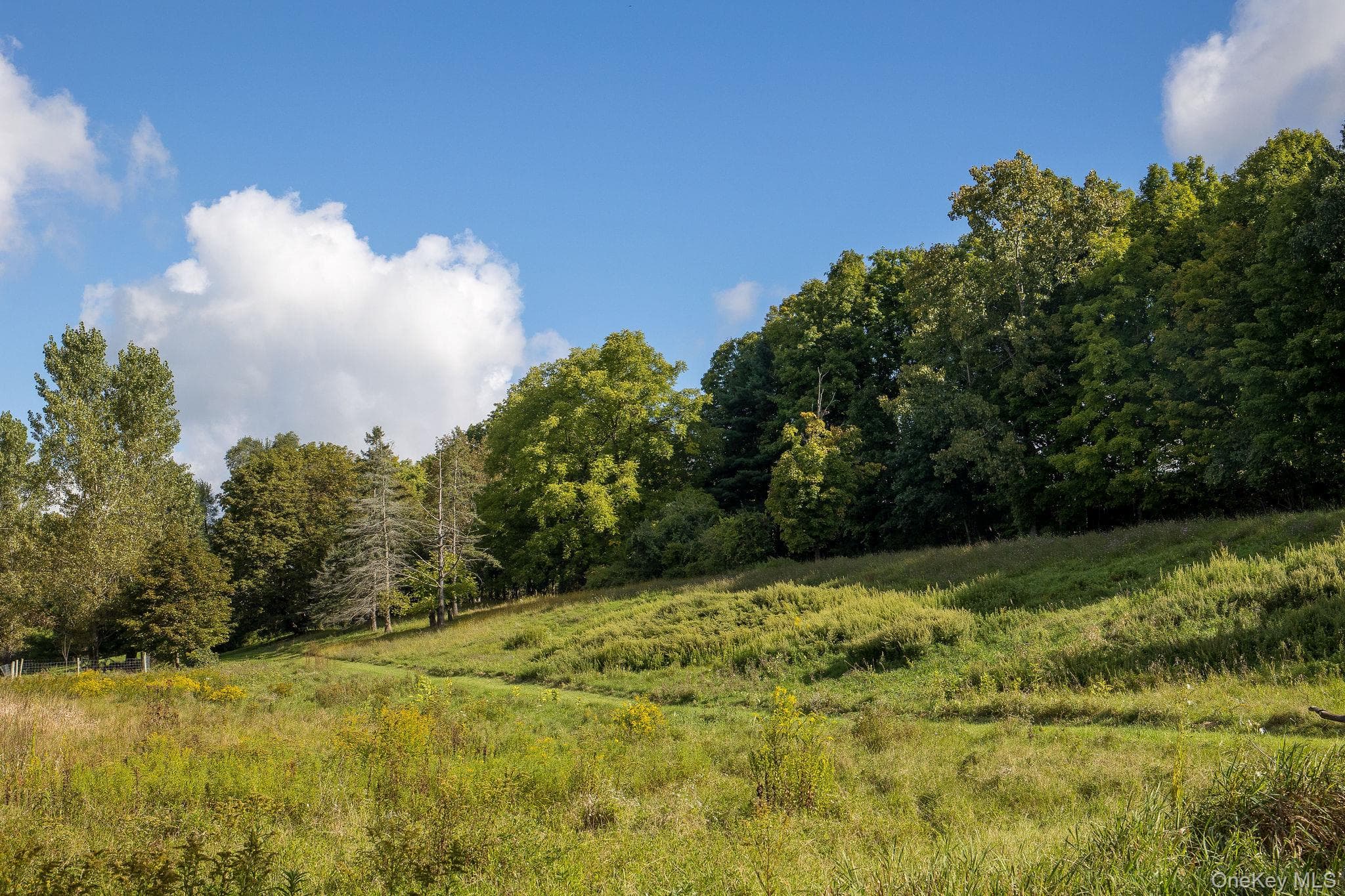 861 Snydertown Road thumbnail 21