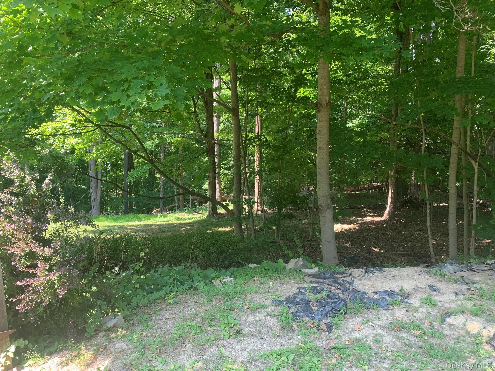 9 Dogwood Hill Road thumbnail 48