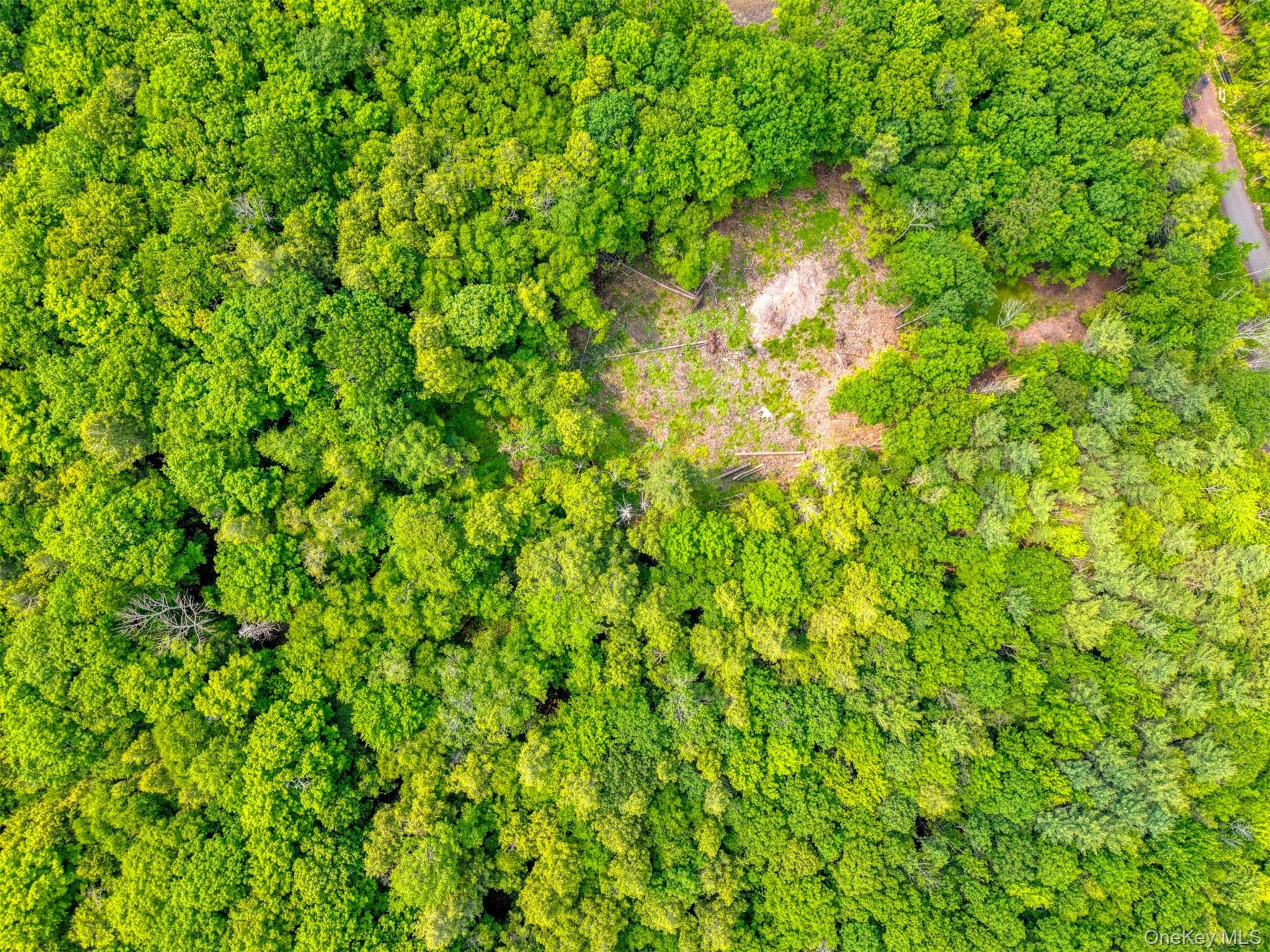 TBD Boulder Brook Lot 11 Road thumbnail 22
