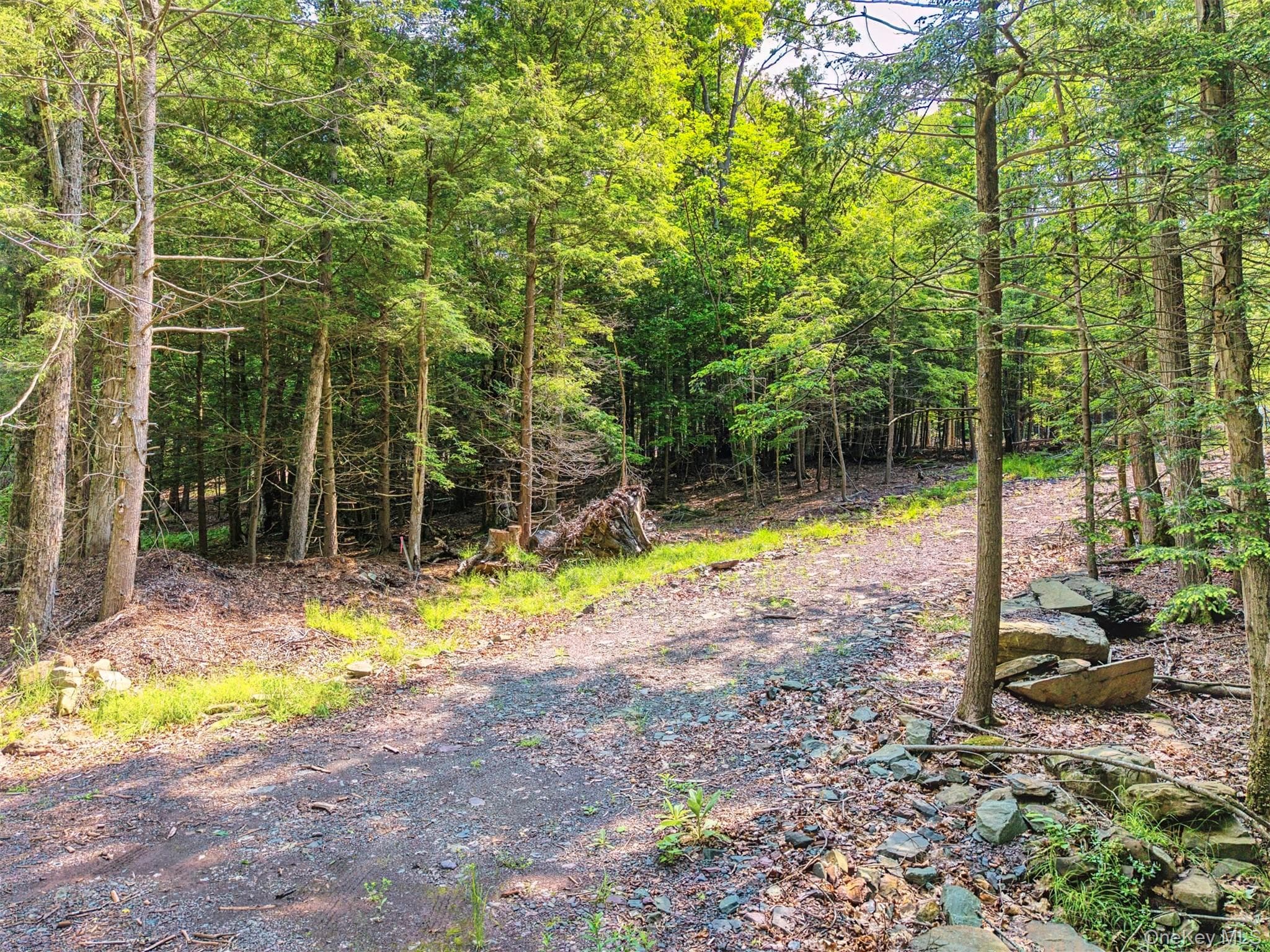 TBD Boulder Brook Lot 11 Road thumbnail 24