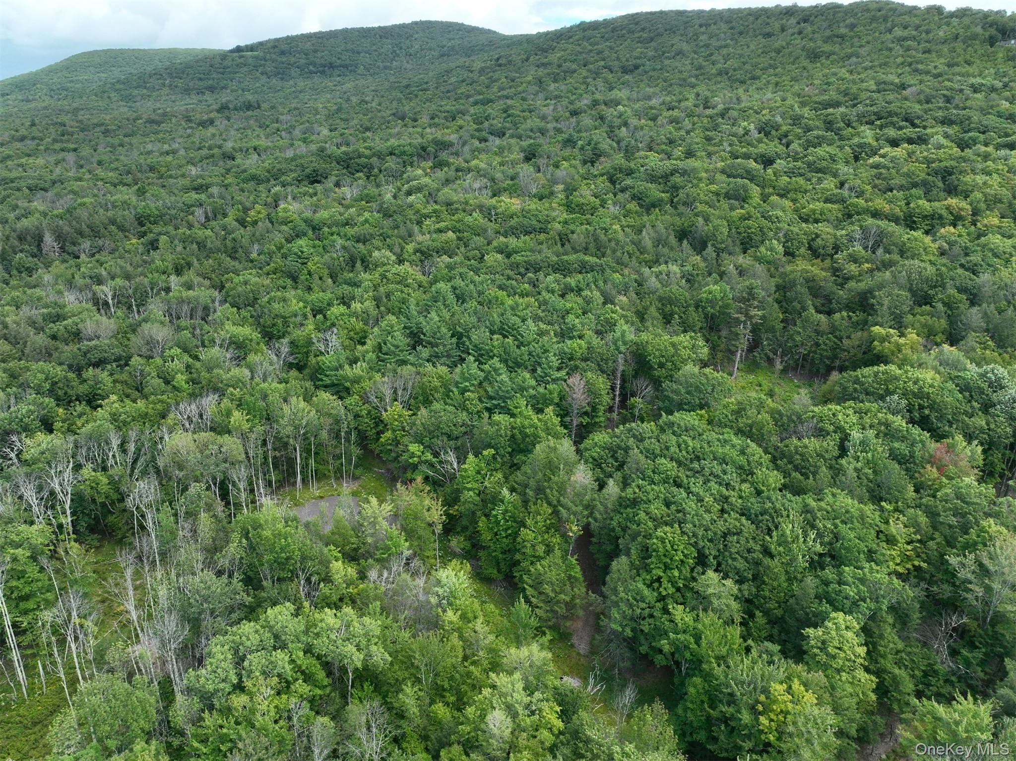 TBD Boulder Brook Lot 11 Road thumbnail 36