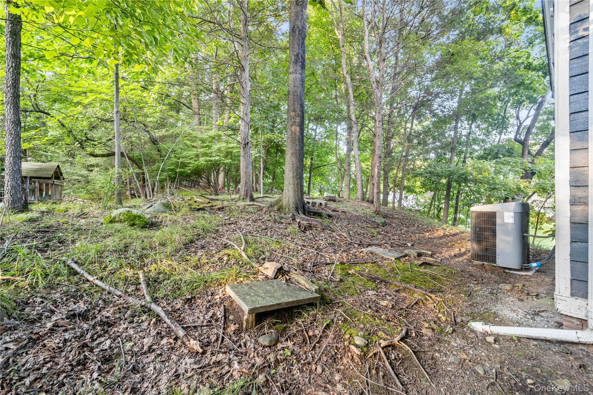 697 S Mountain Road thumbnail 27