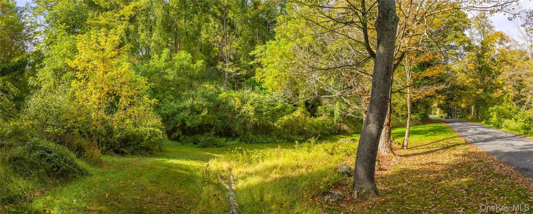 Lot 25 Brady Brook Farm Road thumbnail 3