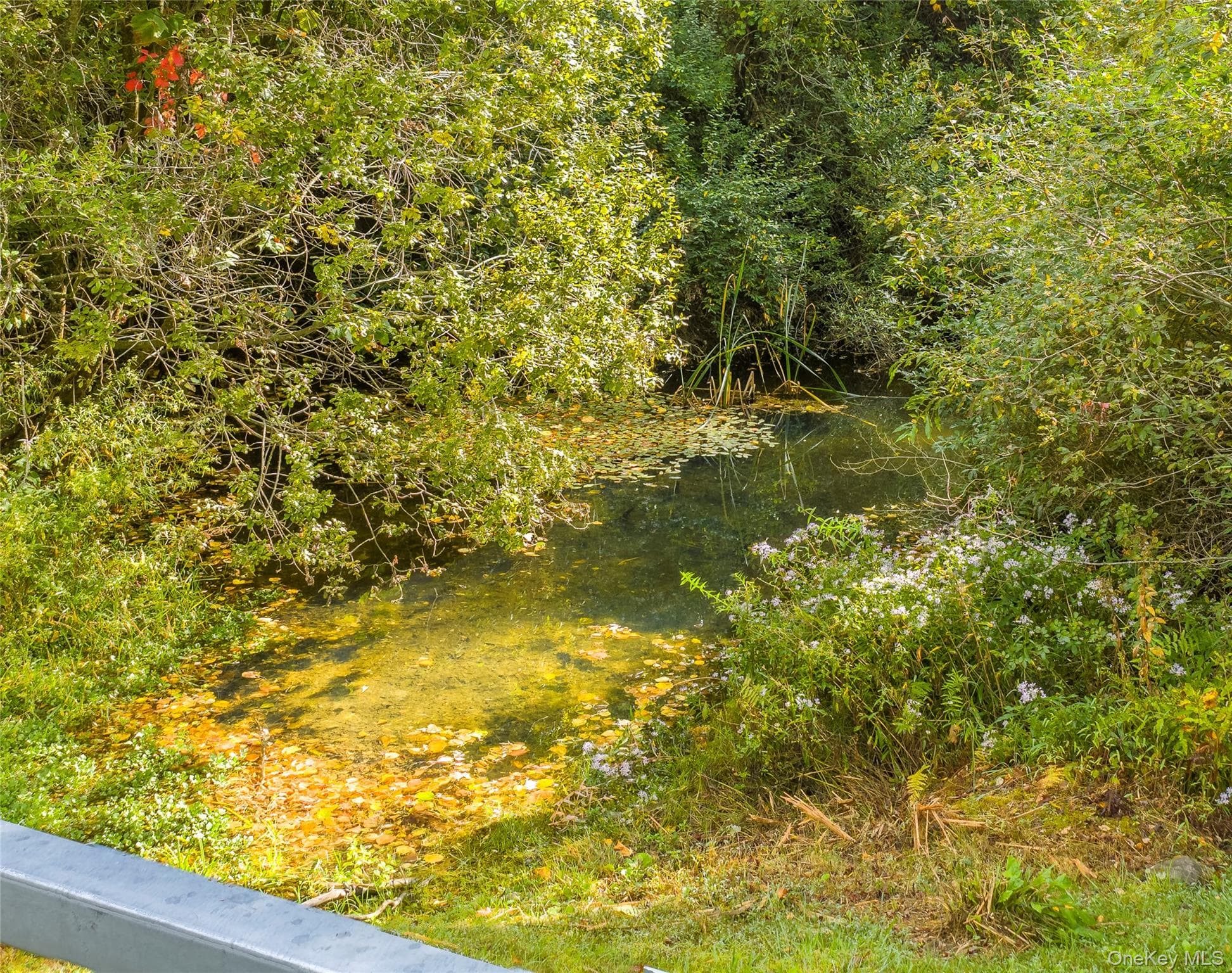 Lot 25 Brady Brook Farm Road thumbnail 9