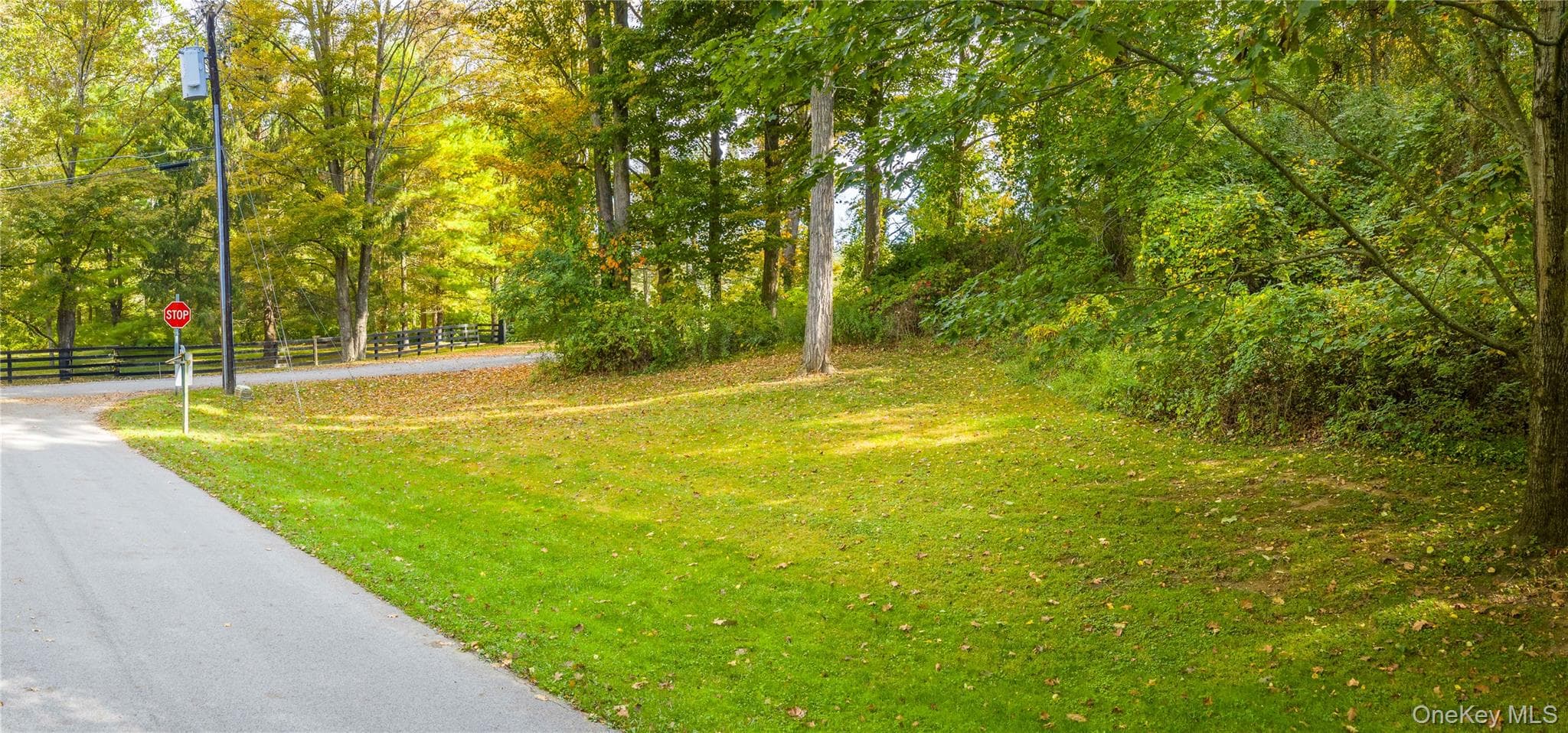 Lot 25 Brady Brook Farm Road thumbnail 11