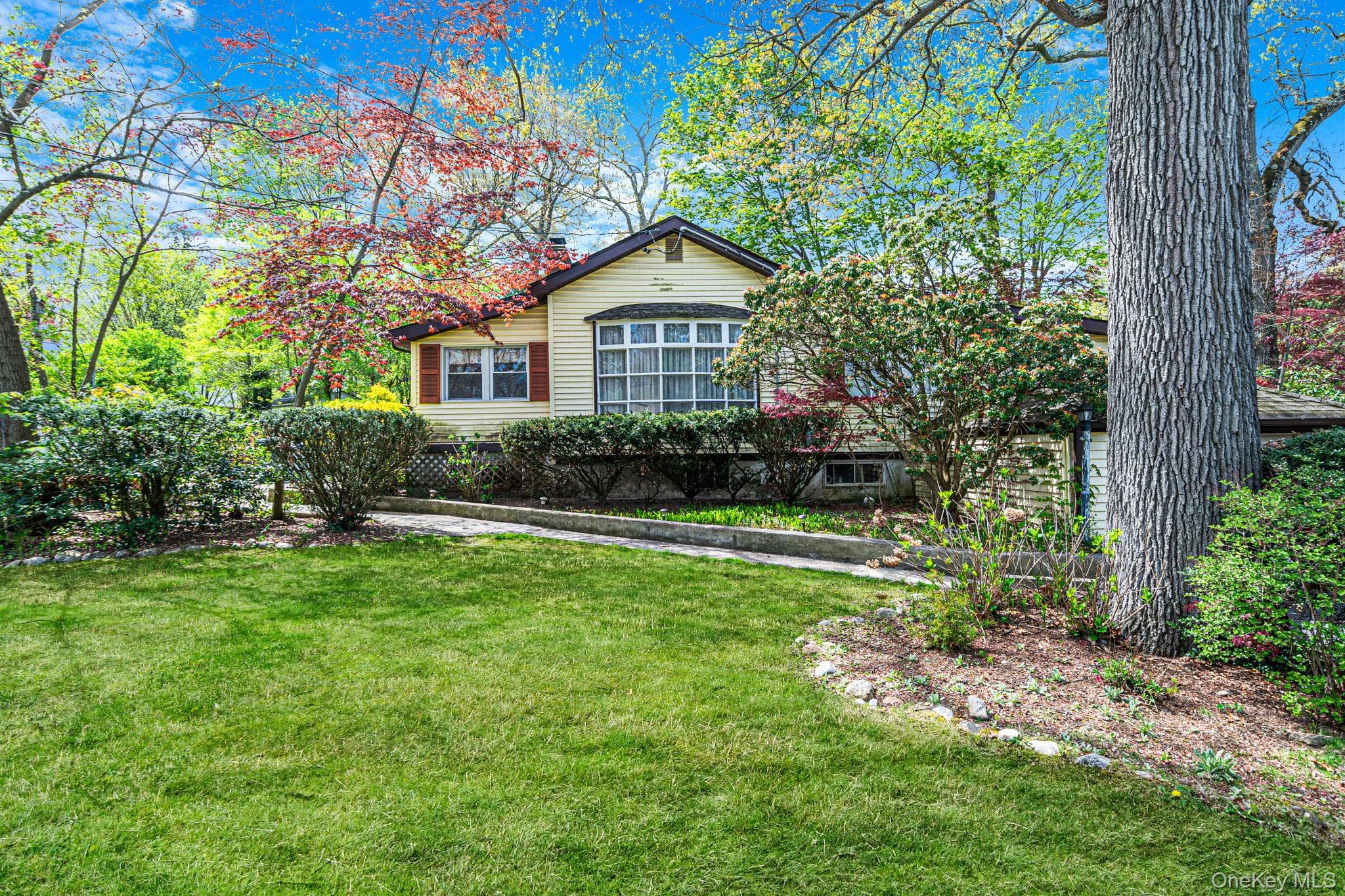 18 Houghton Boulevard thumbnail 3