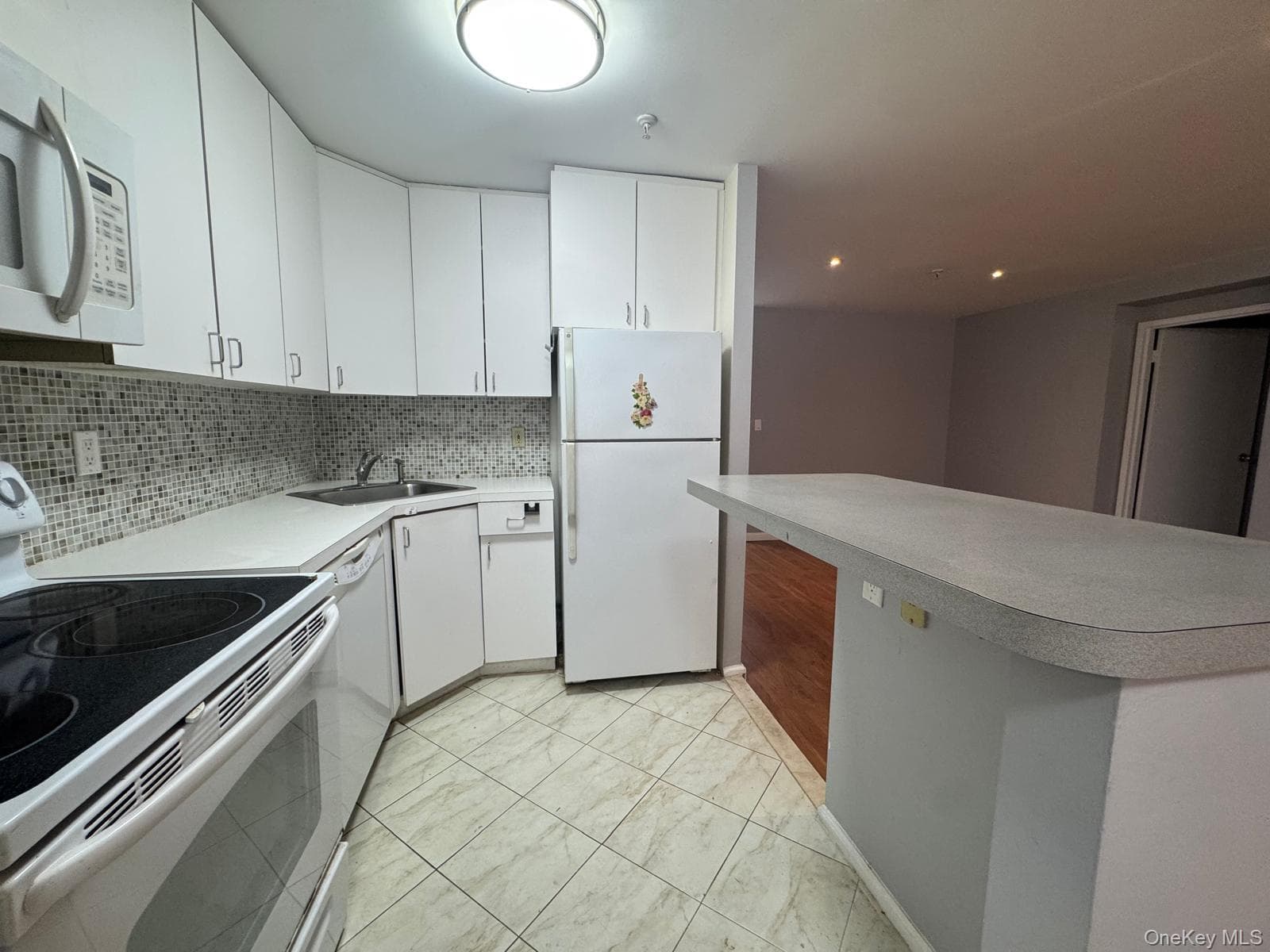 10 Canterbury Road Unit: 1B thumbnail 15