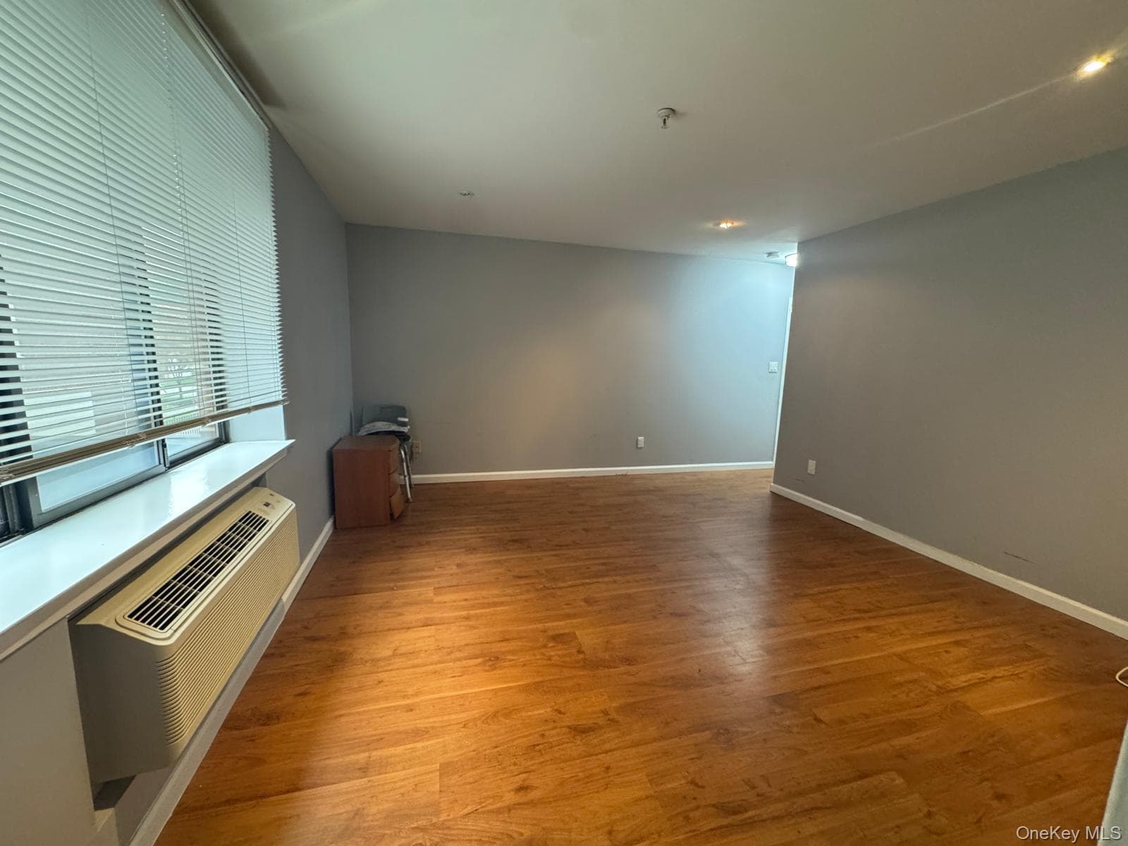 10 Canterbury Road Unit: 1B thumbnail 13