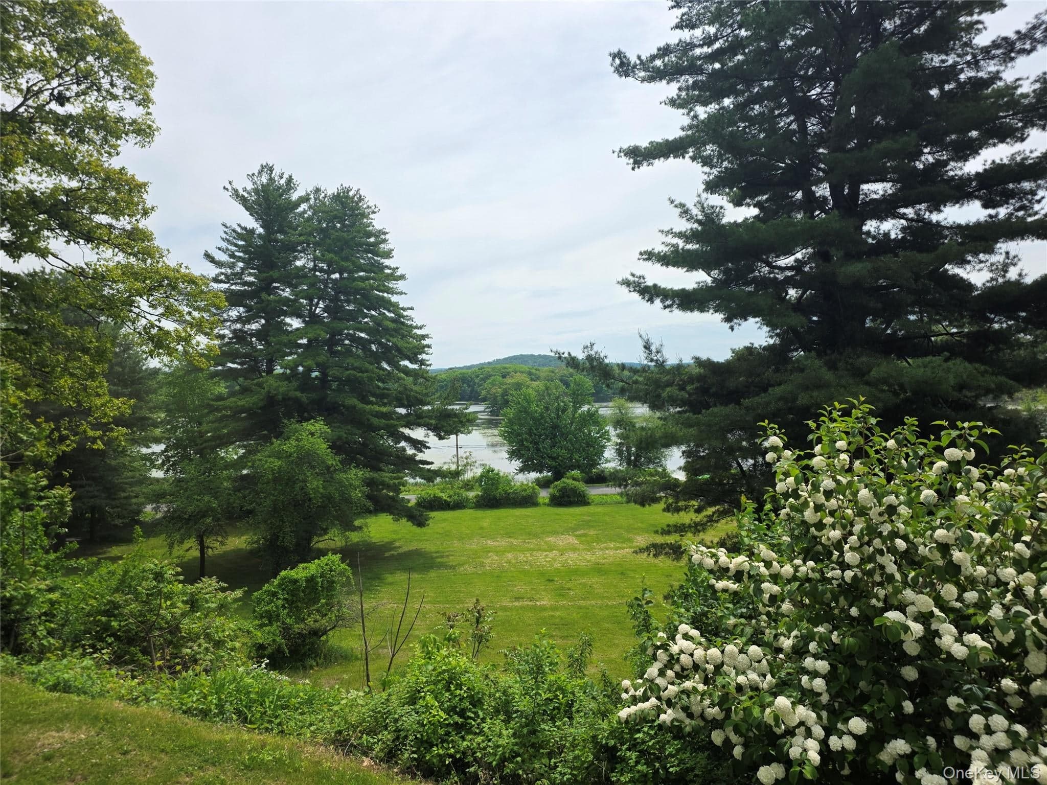 559 Lake Road thumbnail 3