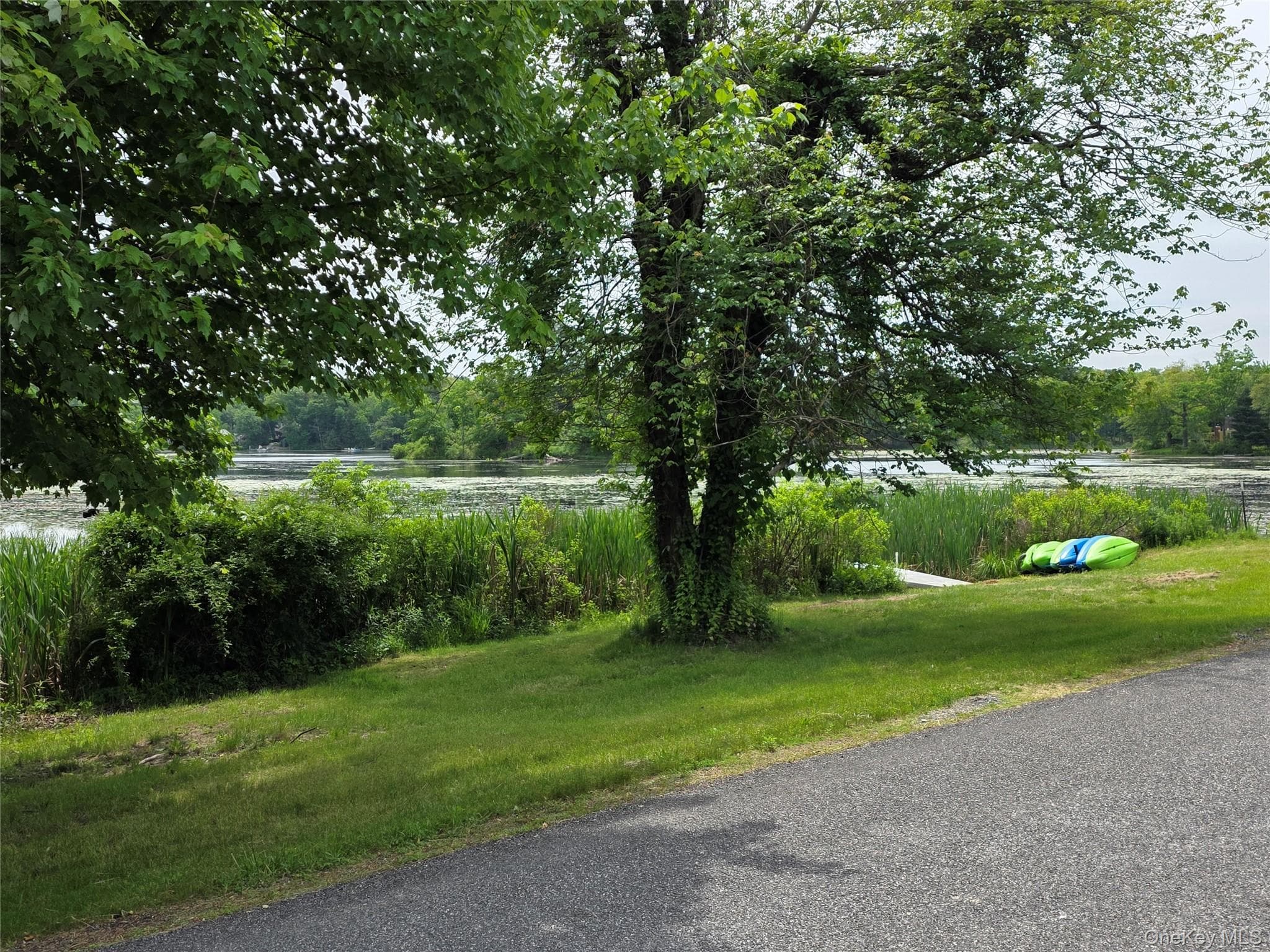 559 Lake Road thumbnail 19