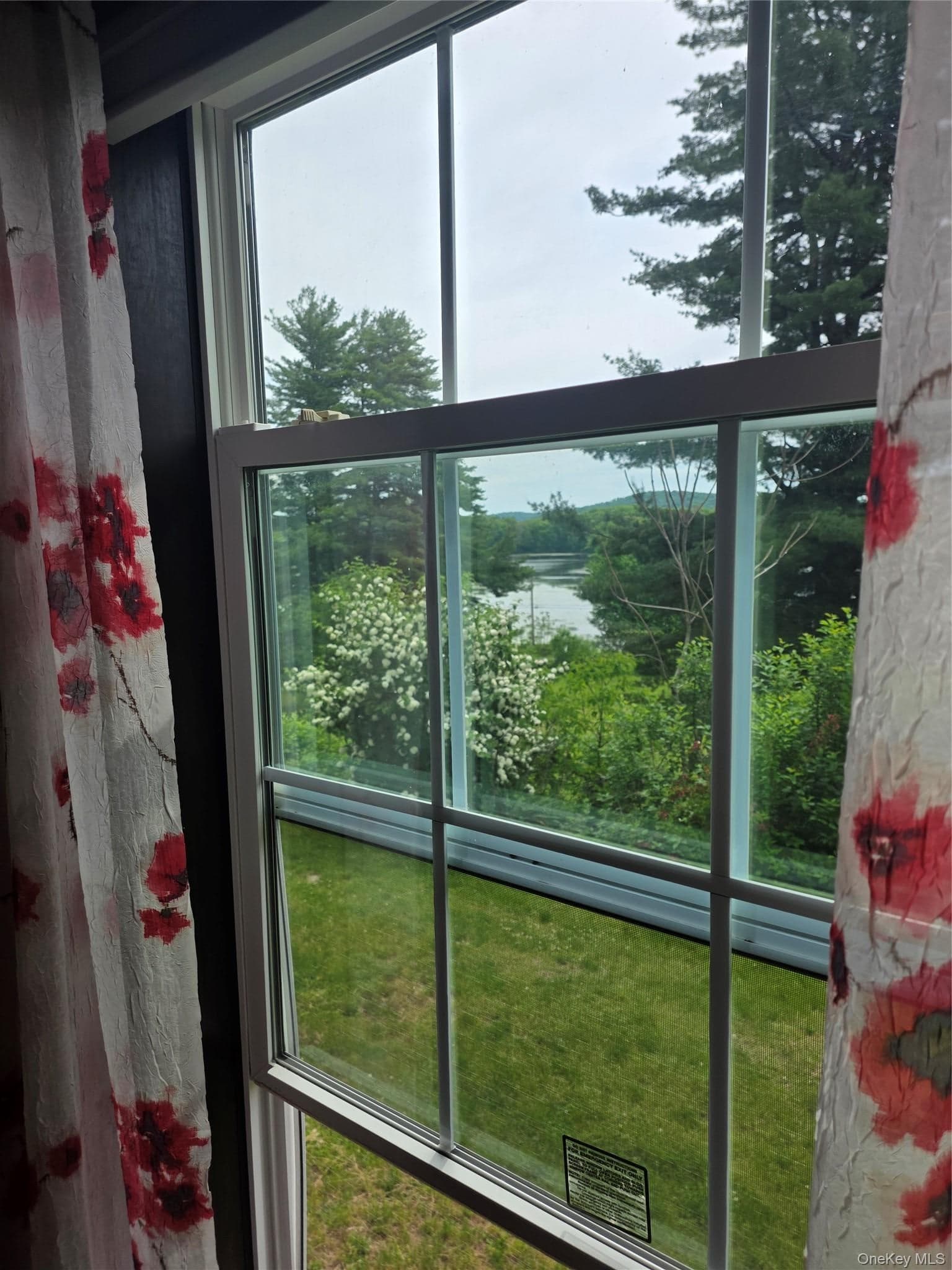 559 Lake Road thumbnail 12