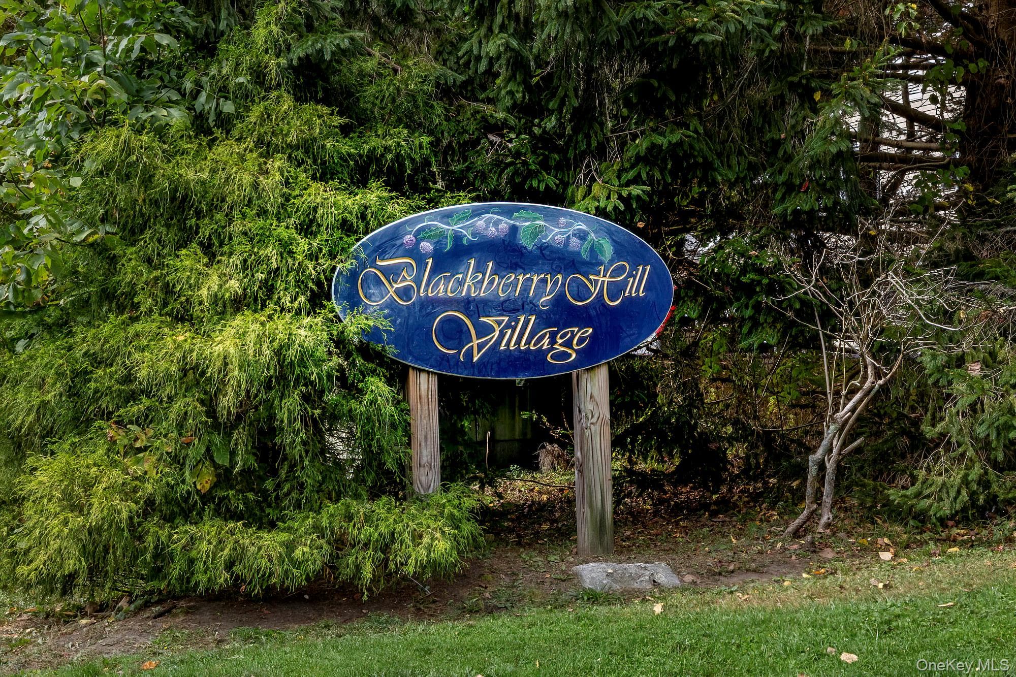 501 Village Drive thumbnail 23