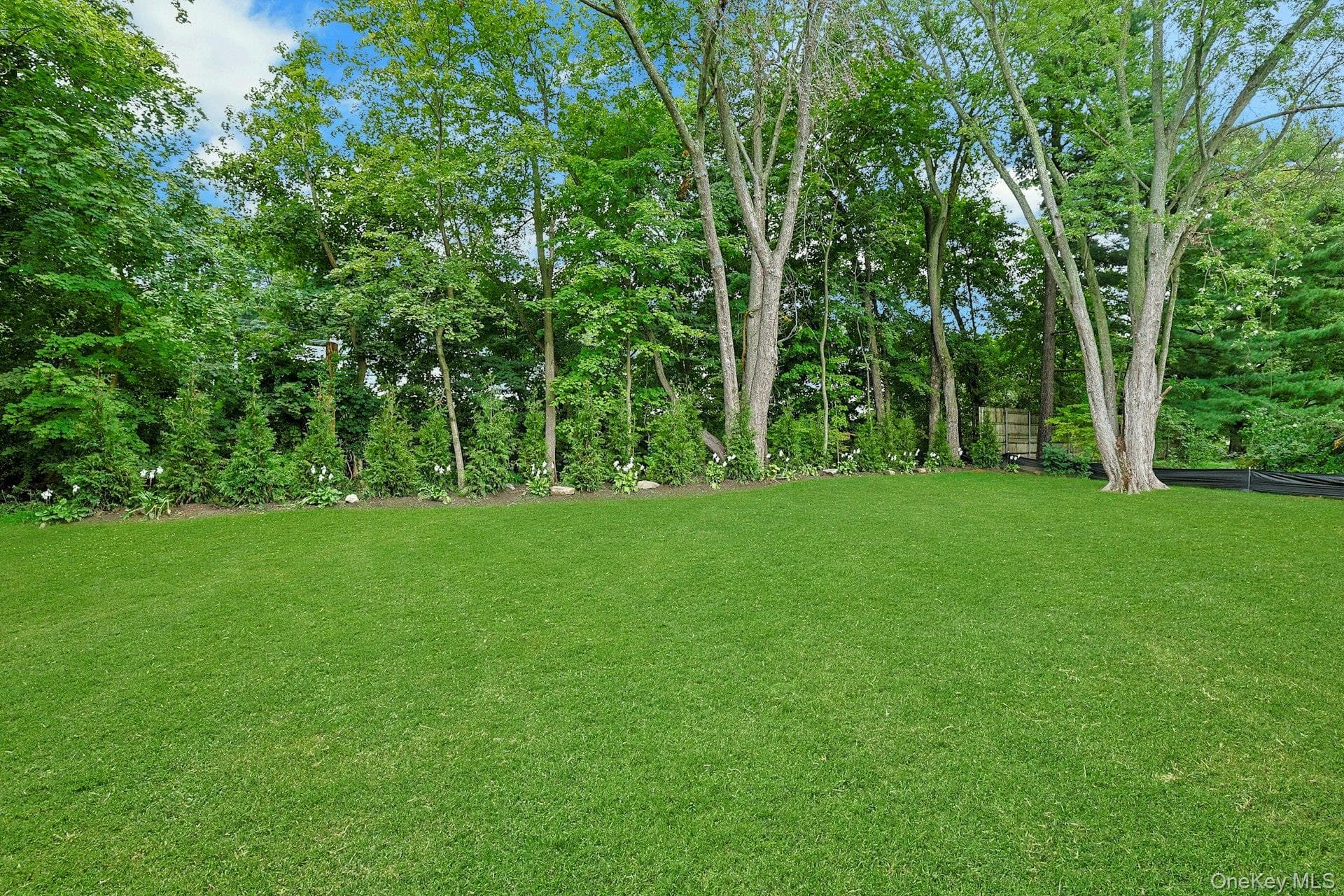 100 Hazelton Circle thumbnail 25