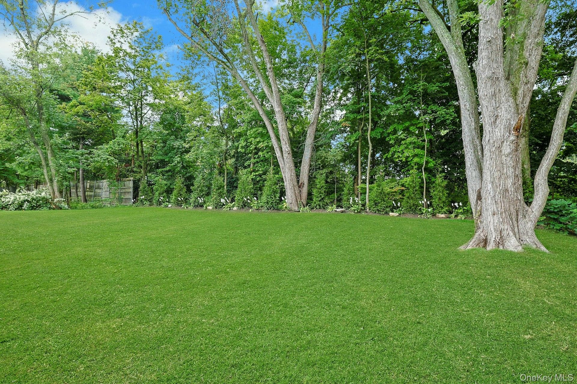 100 Hazelton Circle thumbnail 26