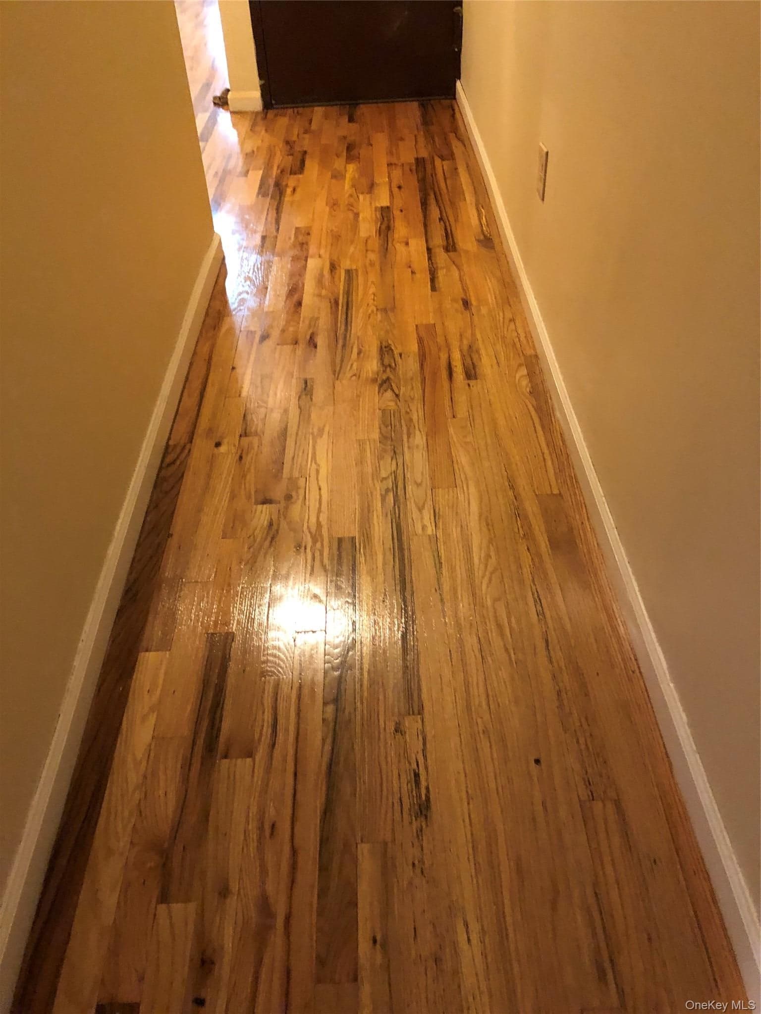 677 Glenmore Avenue thumbnail 12