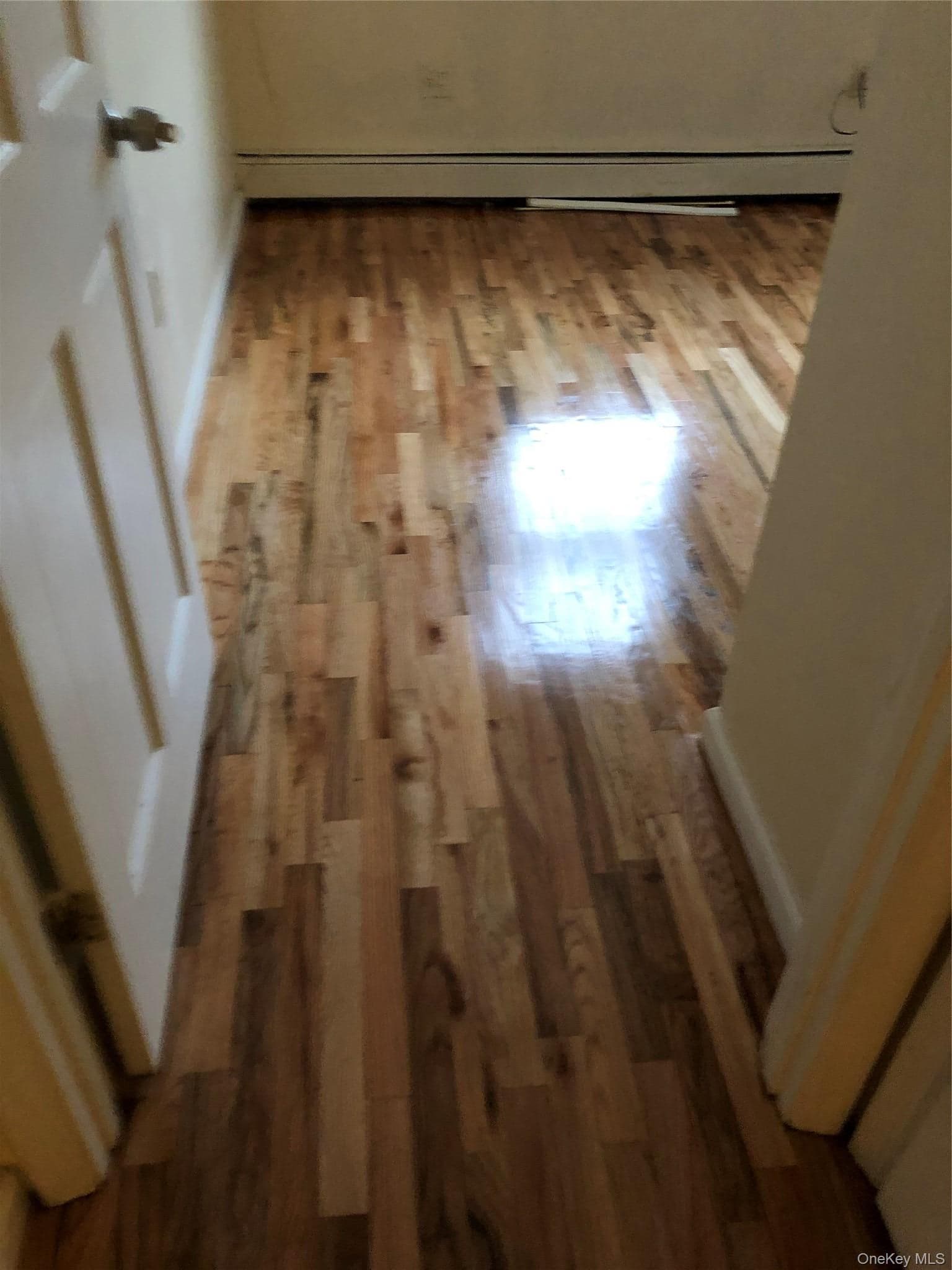 677 Glenmore Avenue thumbnail 11