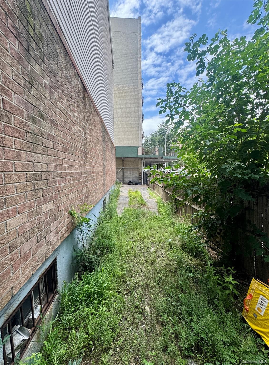 320 E 184th Street thumbnail 12