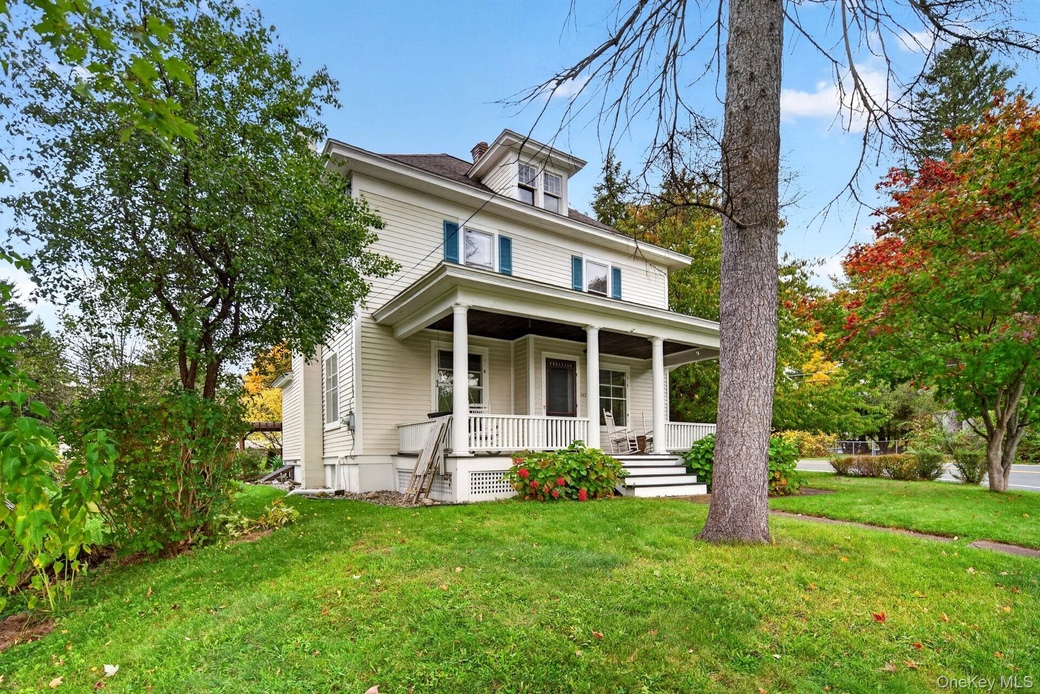 343 Alplaus Avenue thumbnail 3
