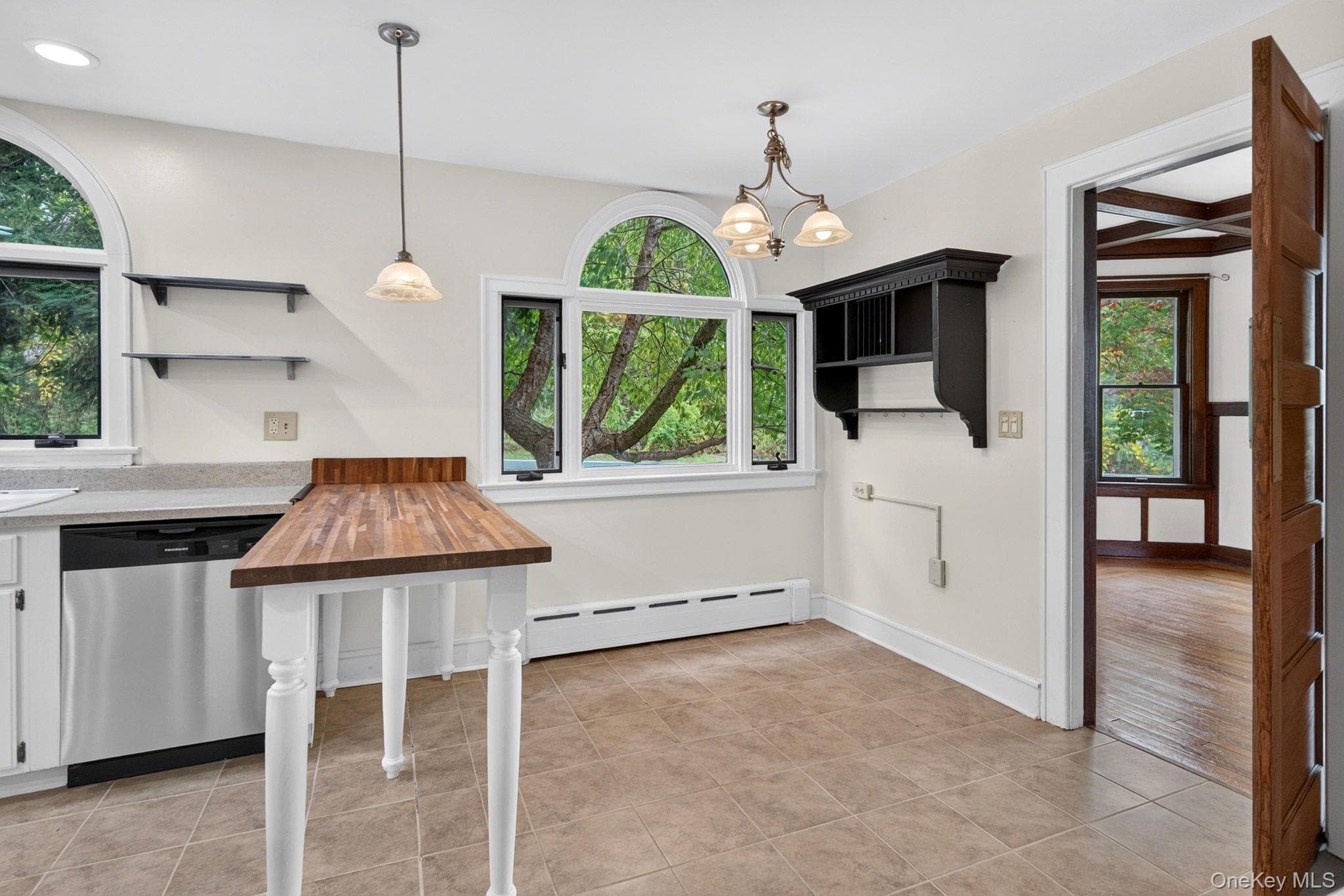 343 Alplaus Avenue thumbnail 14