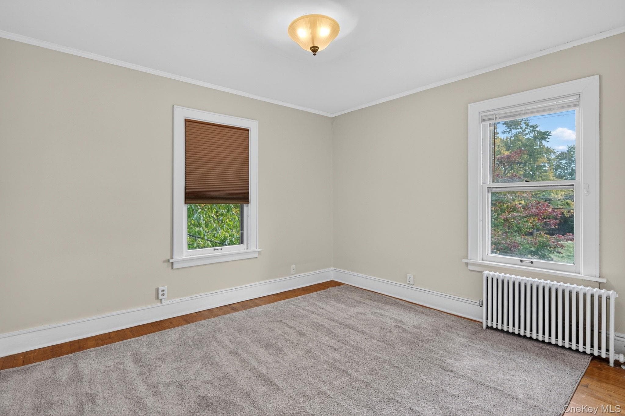343 Alplaus Avenue thumbnail 23