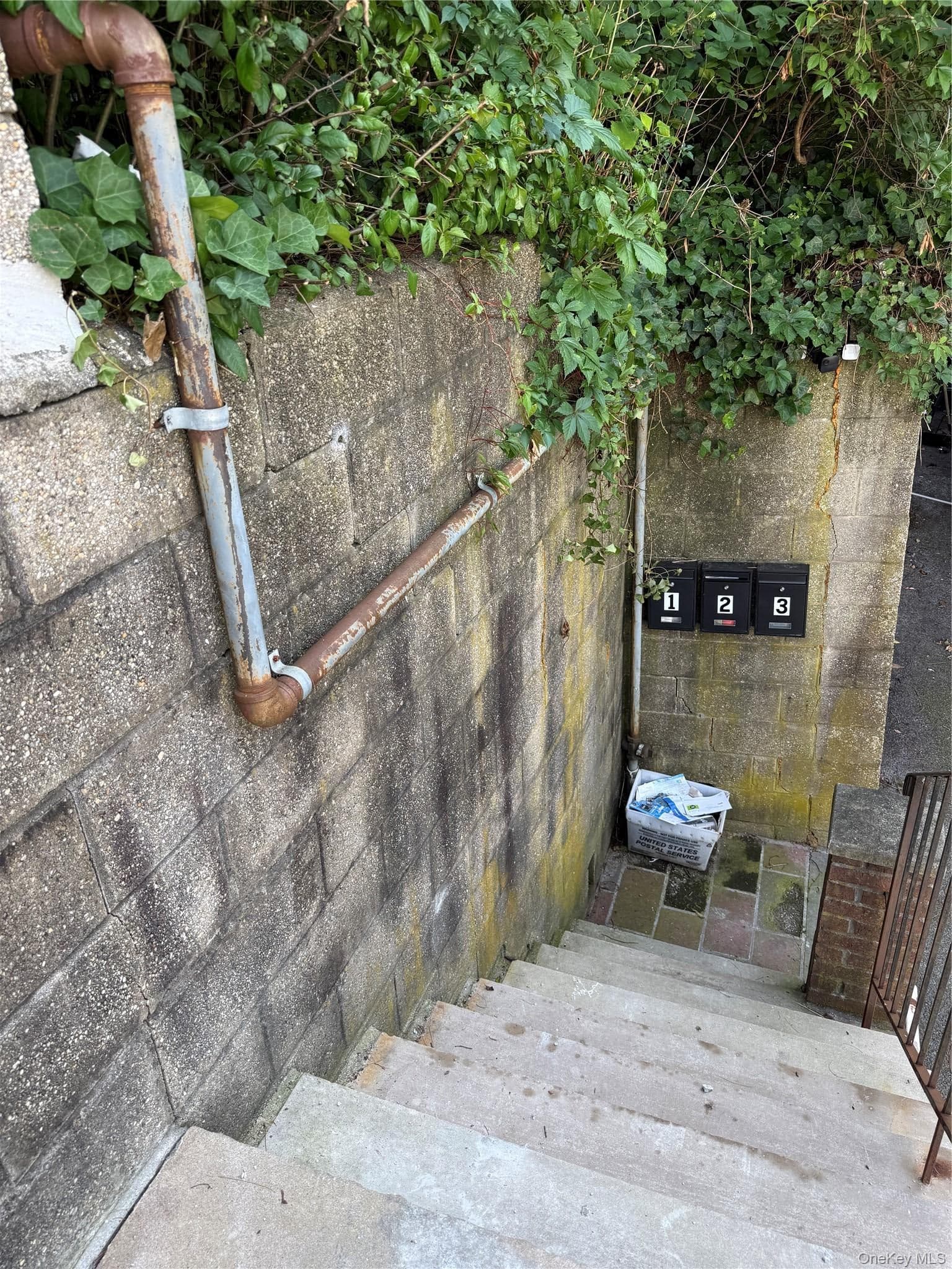 94 William Street thumbnail 23