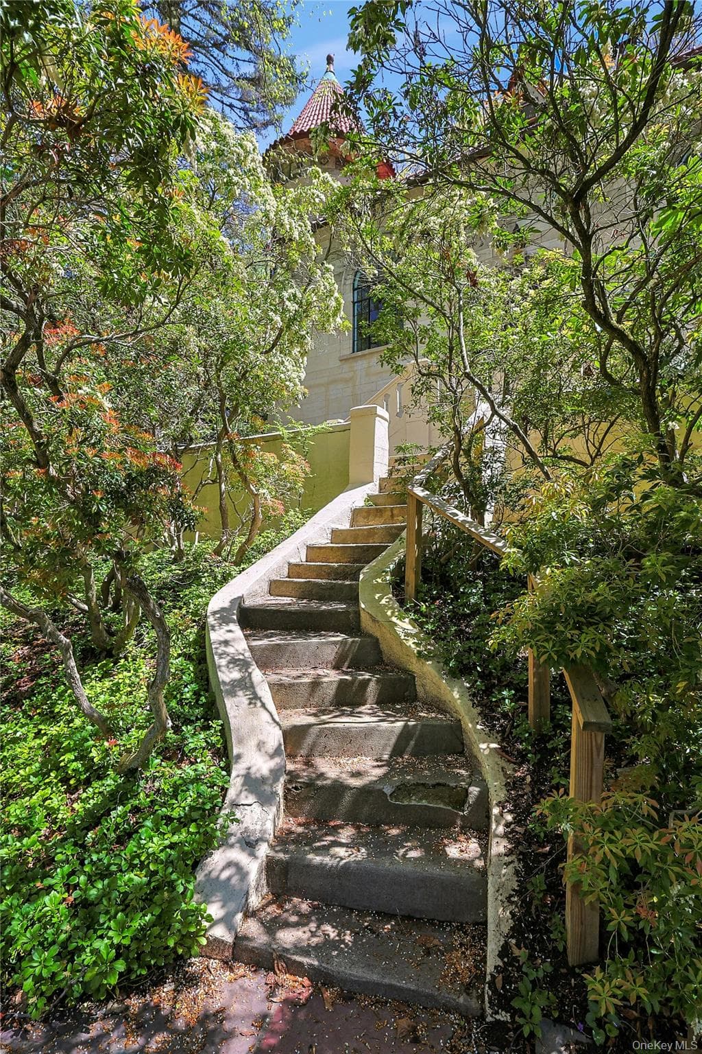 16 Lewis Road thumbnail 49