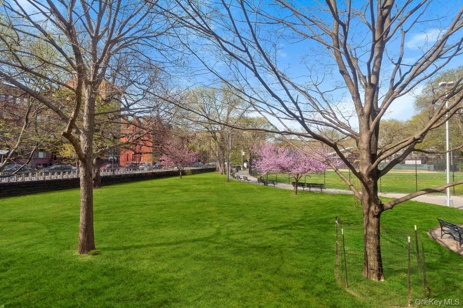 1919 Madison Avenue Unit: 202 thumbnail 15