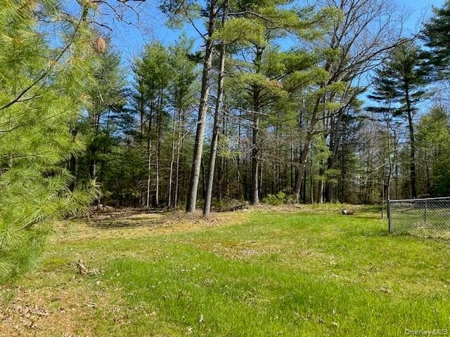 592 Proctor Road thumbnail 4