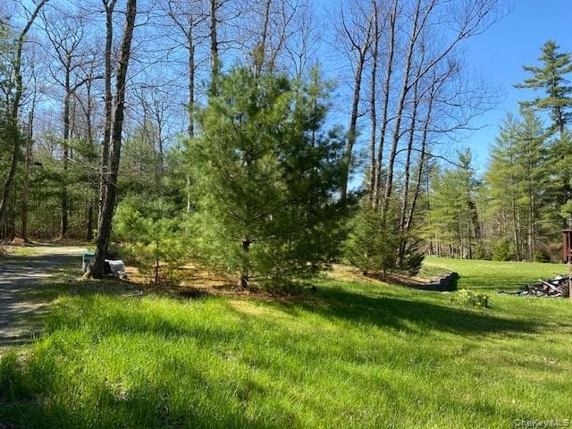 592 Proctor Road thumbnail 6