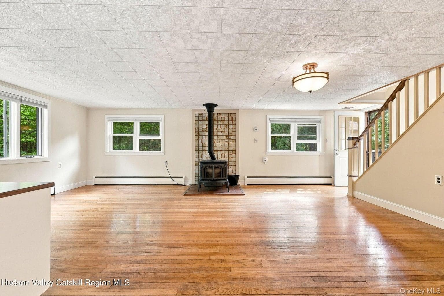 307 Old Kingston Road thumbnail 18