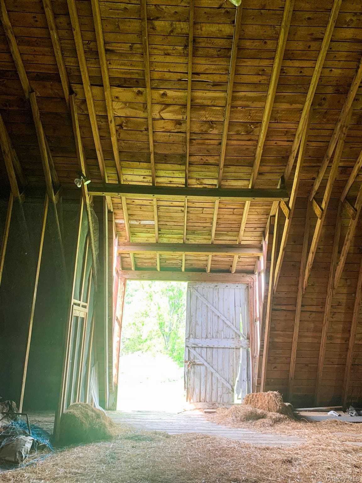 151 Homan Road thumbnail 5