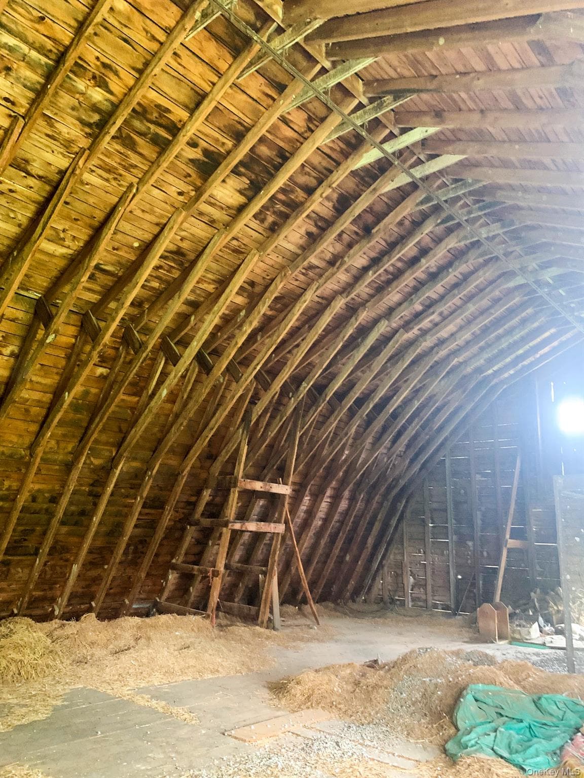 151 Homan Road thumbnail 8