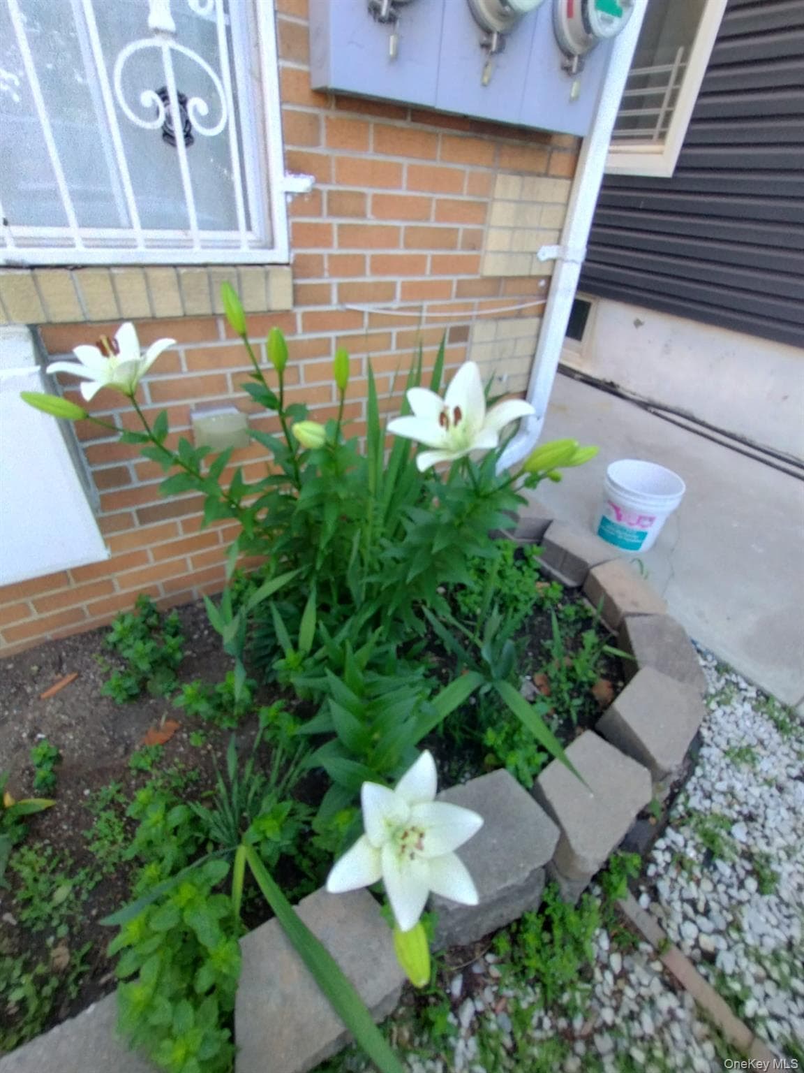 933 Tilden Street thumbnail 3