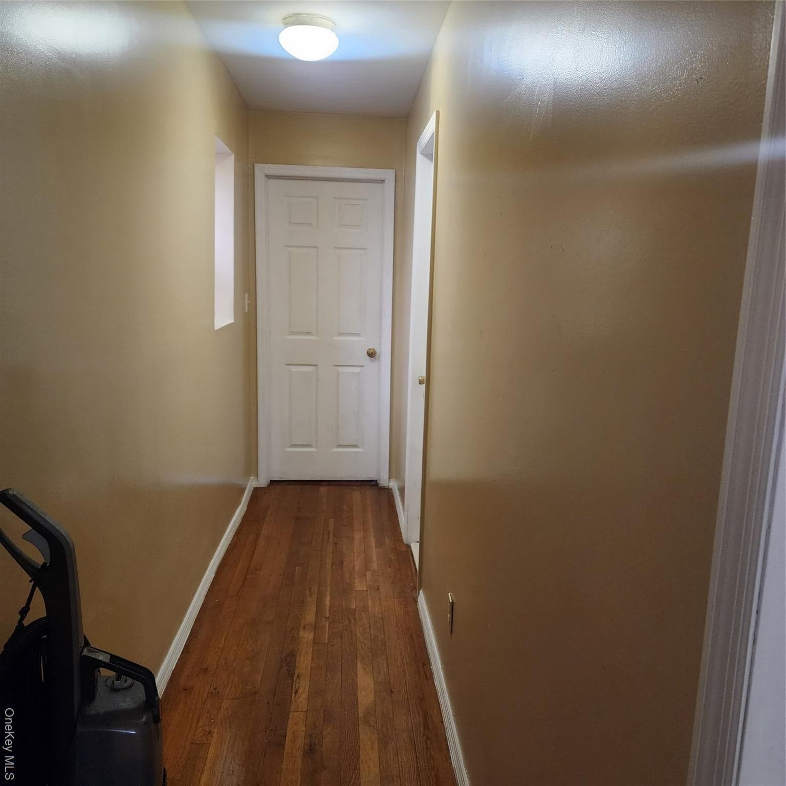 933 Tilden Street thumbnail 33