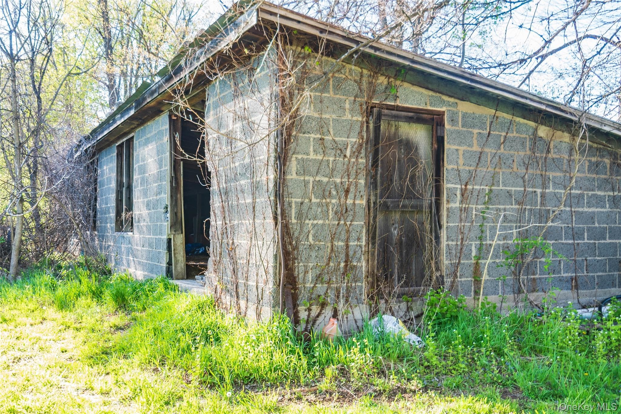 111 Browns Road thumbnail 21