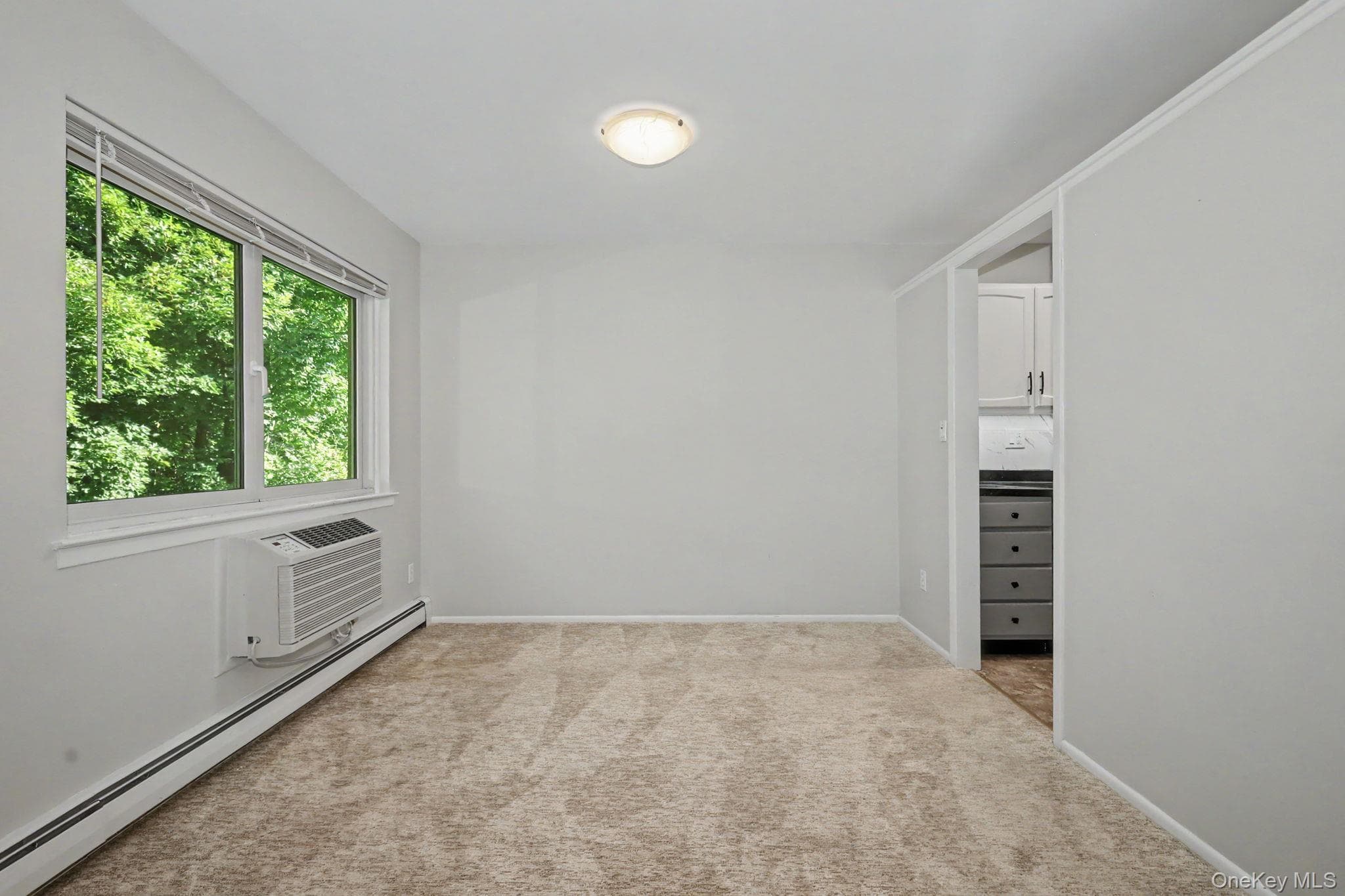 13 Scenic Drive Unit: L thumbnail 12