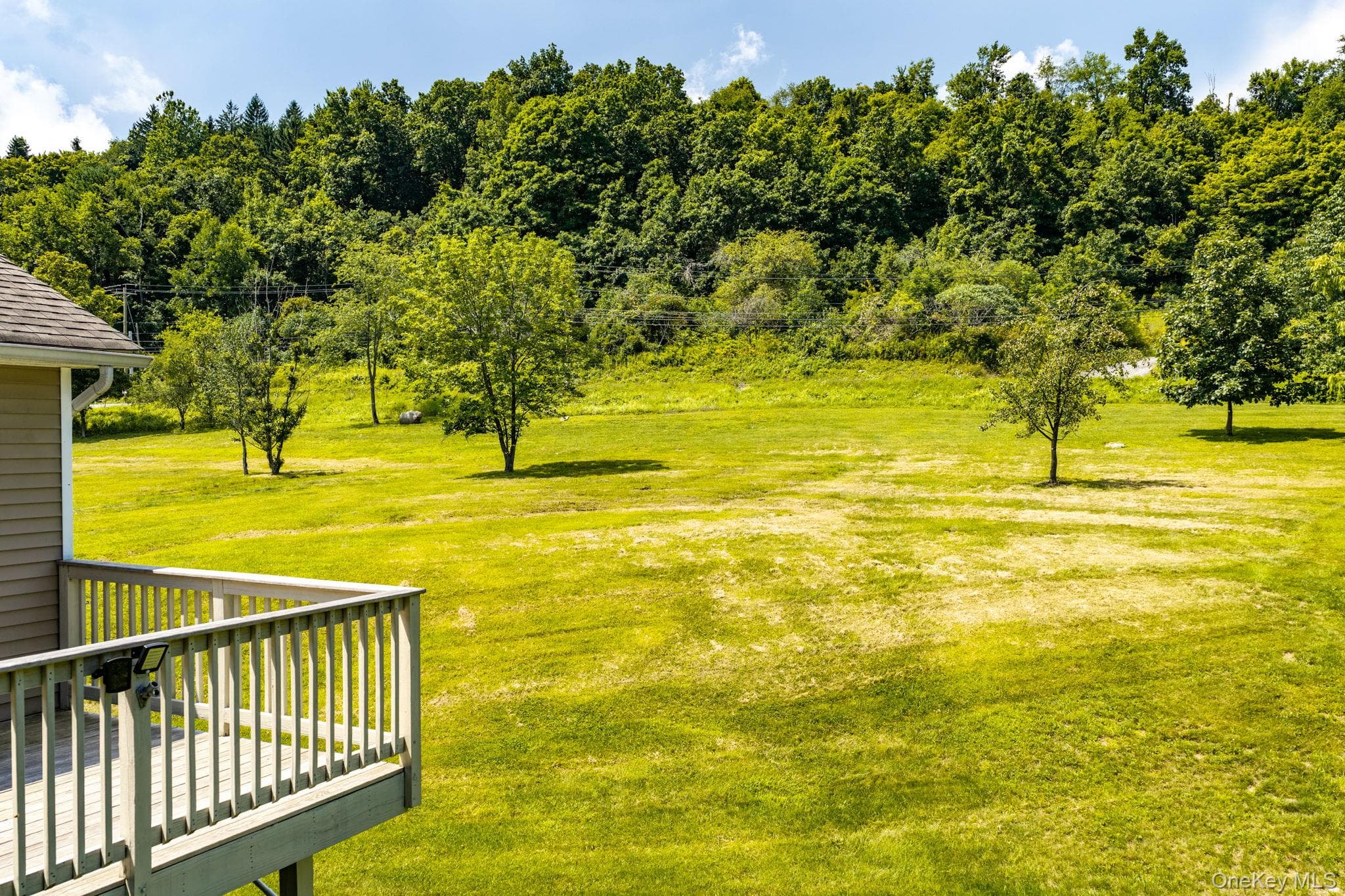 236 Springbrook Road thumbnail 39