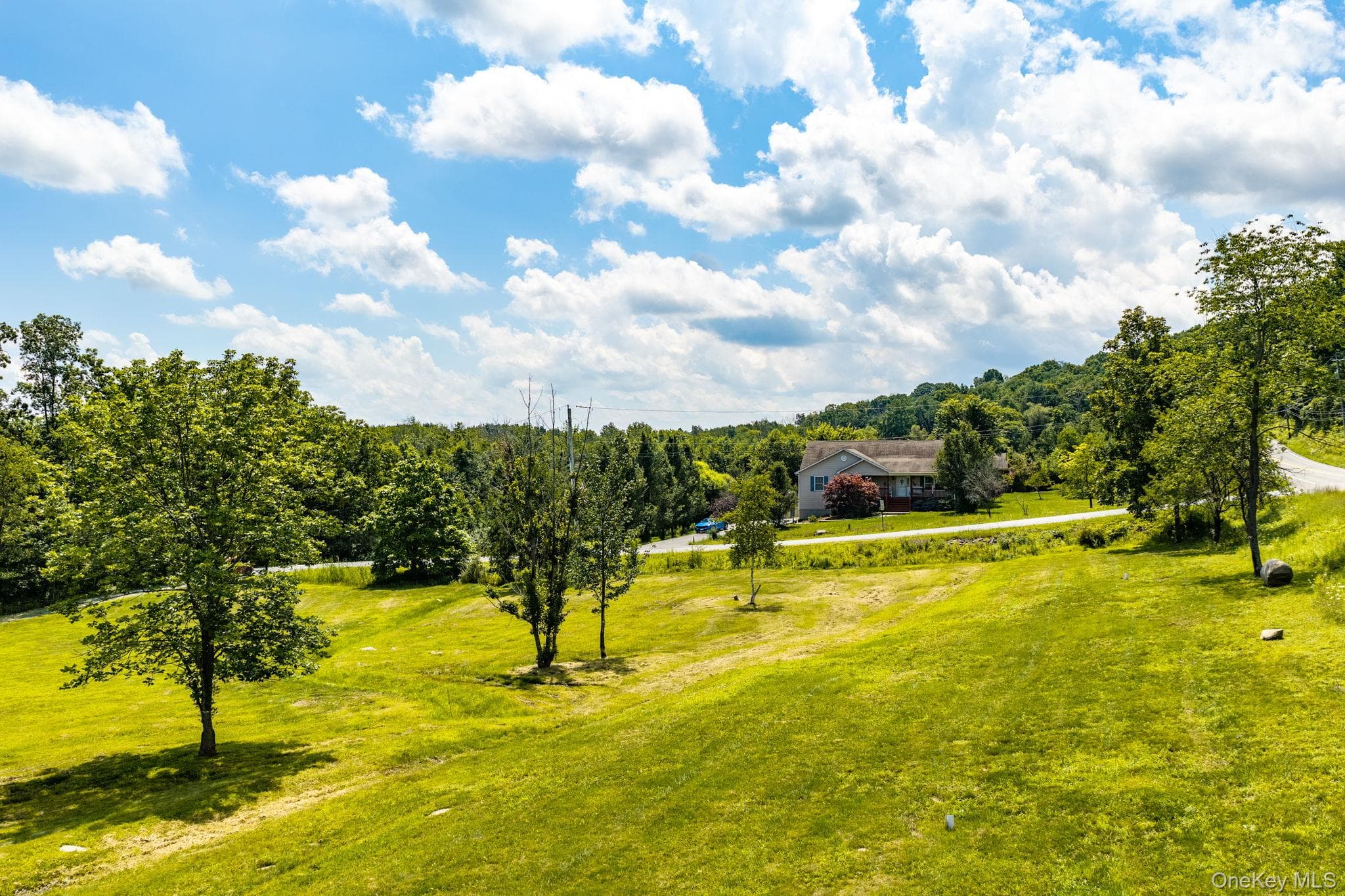 236 Springbrook Road thumbnail 40