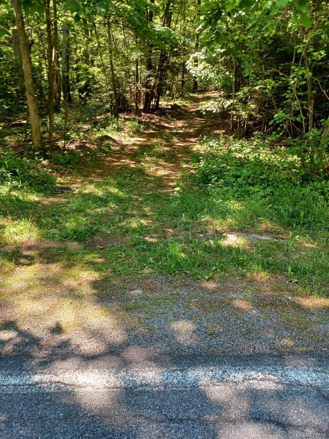 Bramertown Road thumbnail 4
