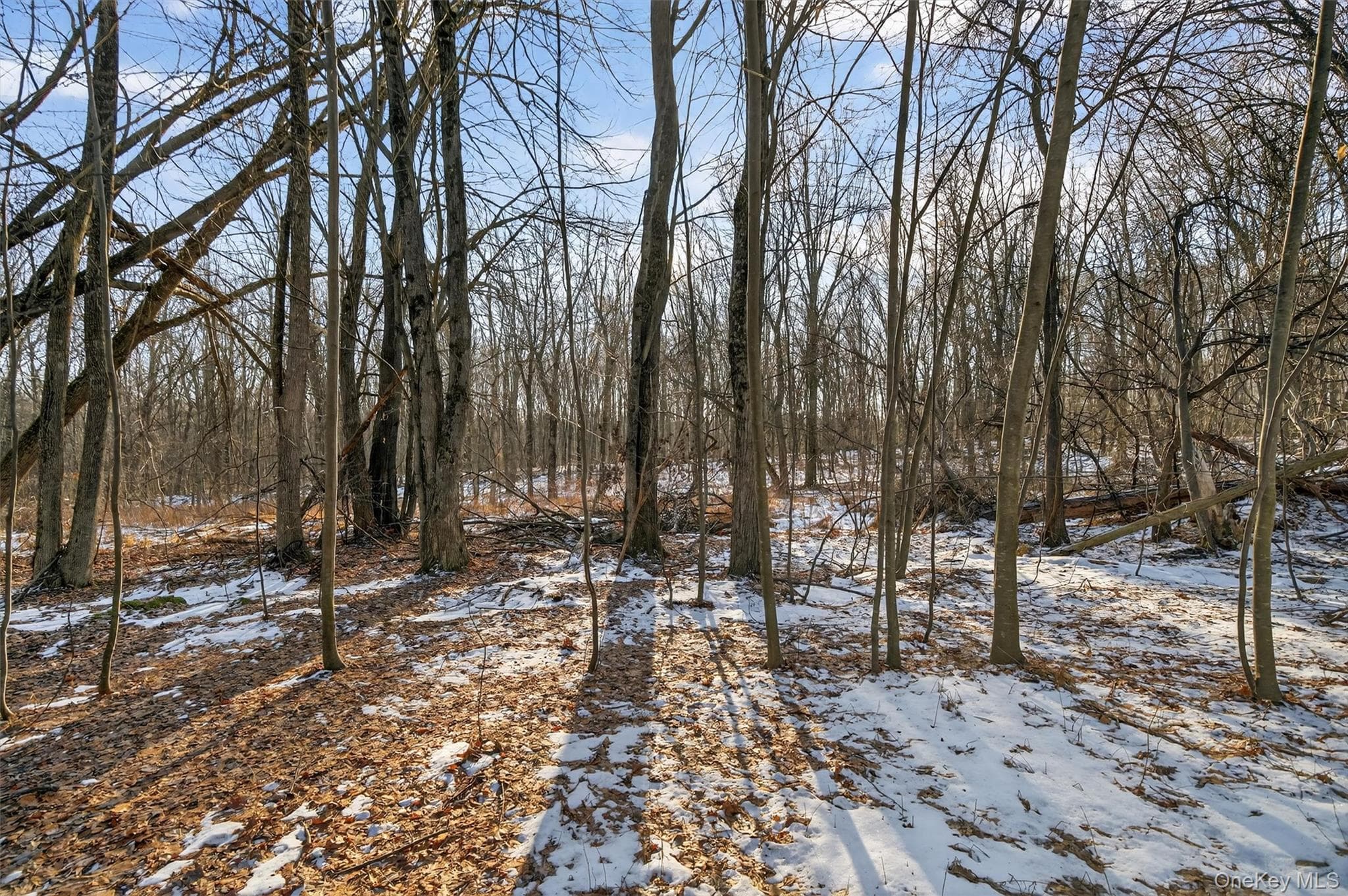 TBD Eatontown Road thumbnail 9