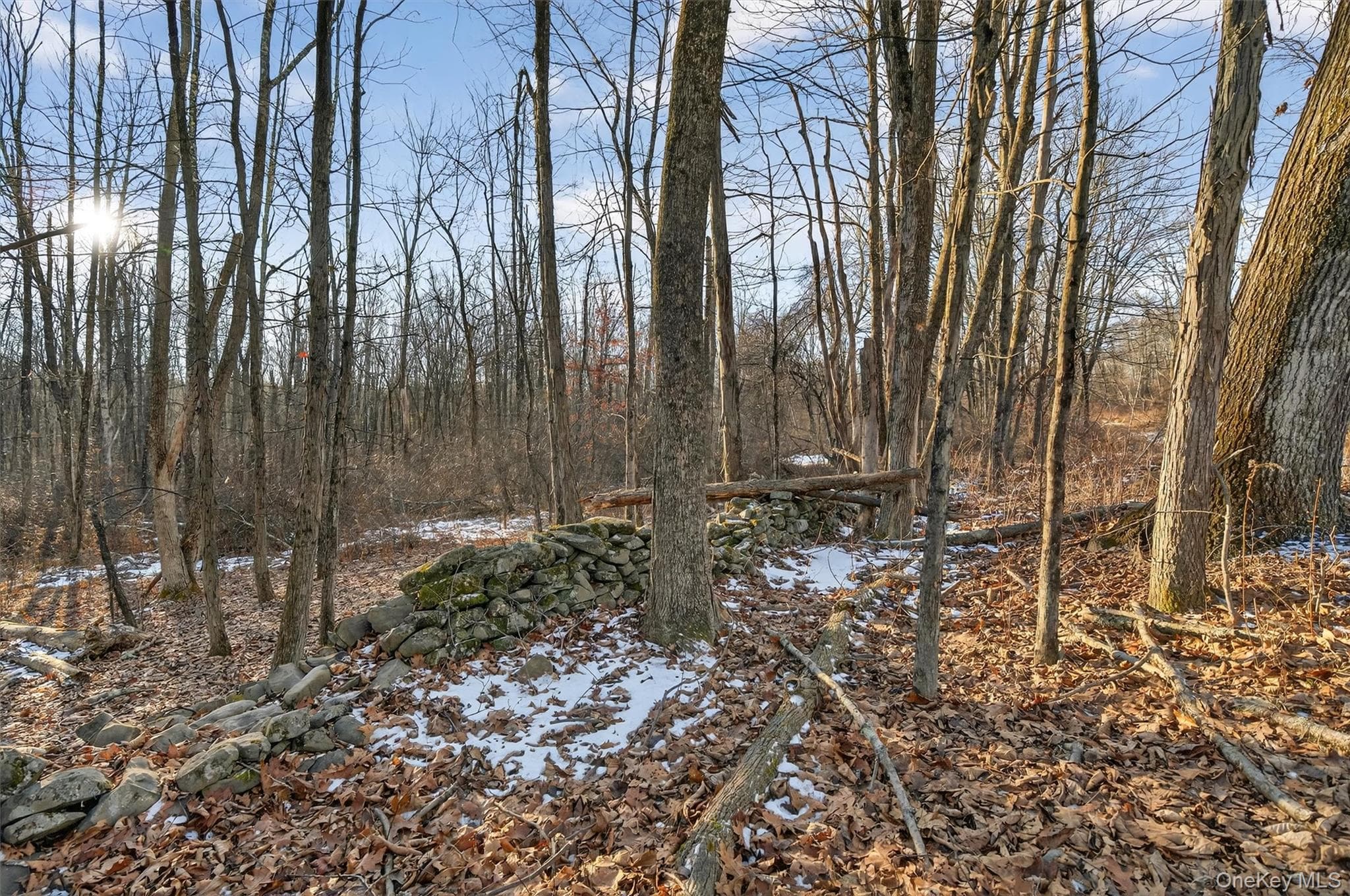 TBD Eatontown Road thumbnail 5