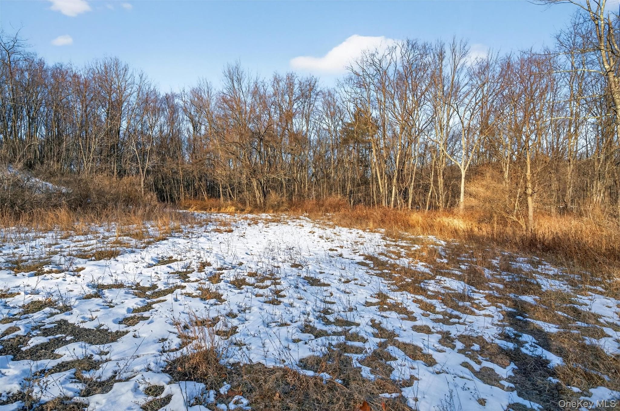 TBD Eatontown Road thumbnail 17