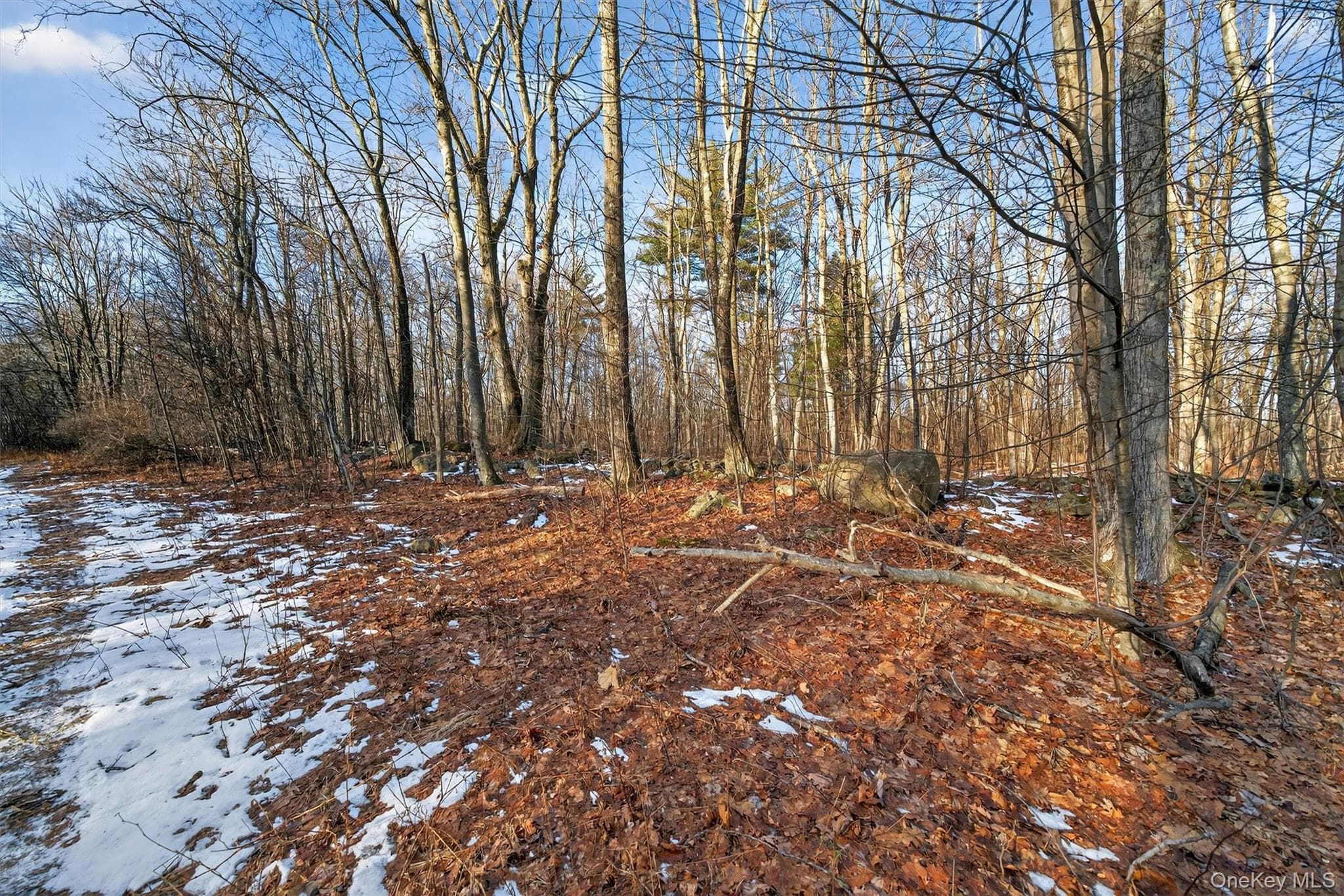 TBD Eatontown Road thumbnail 11