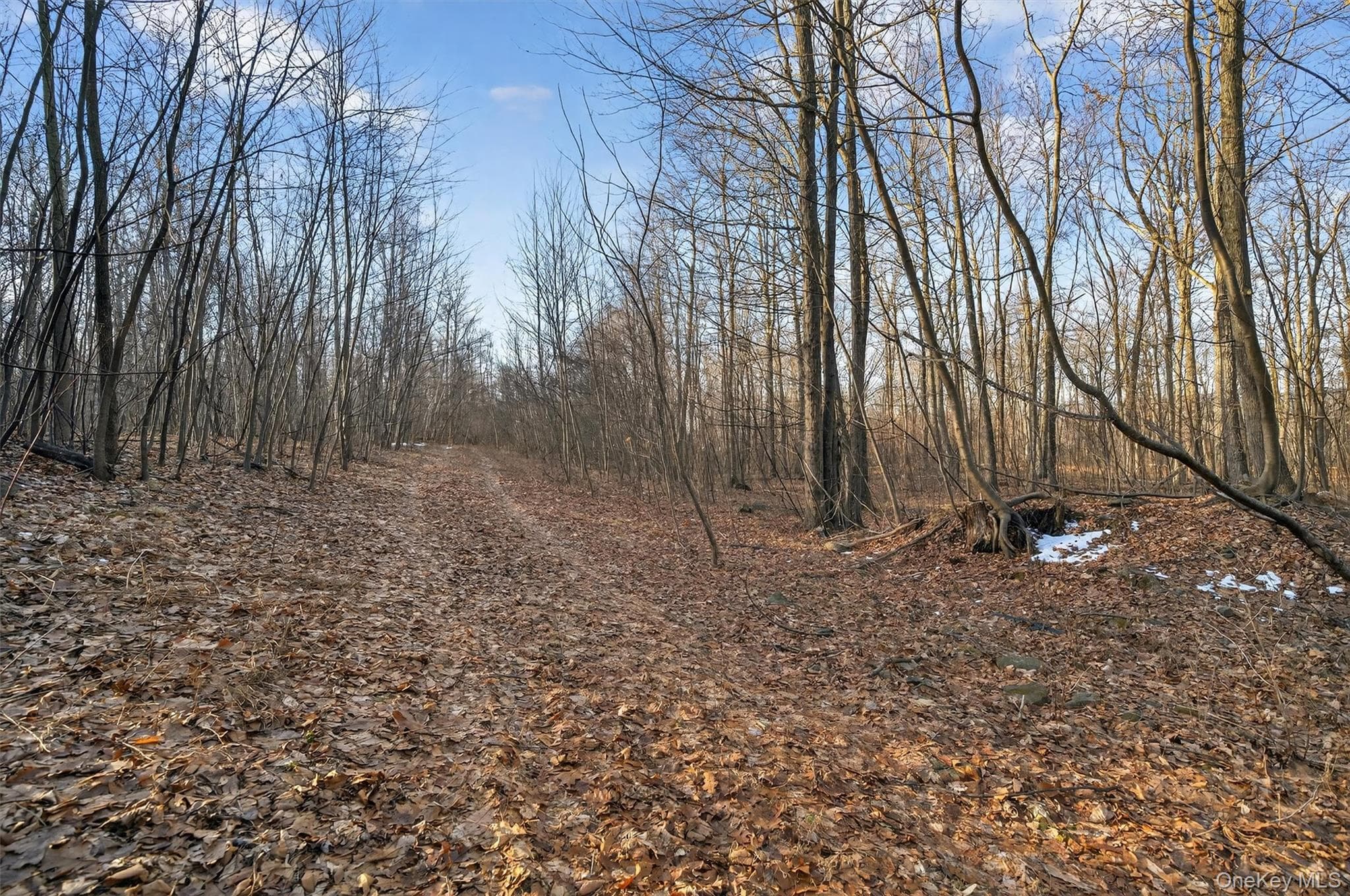 TBD Eatontown Road thumbnail 16
