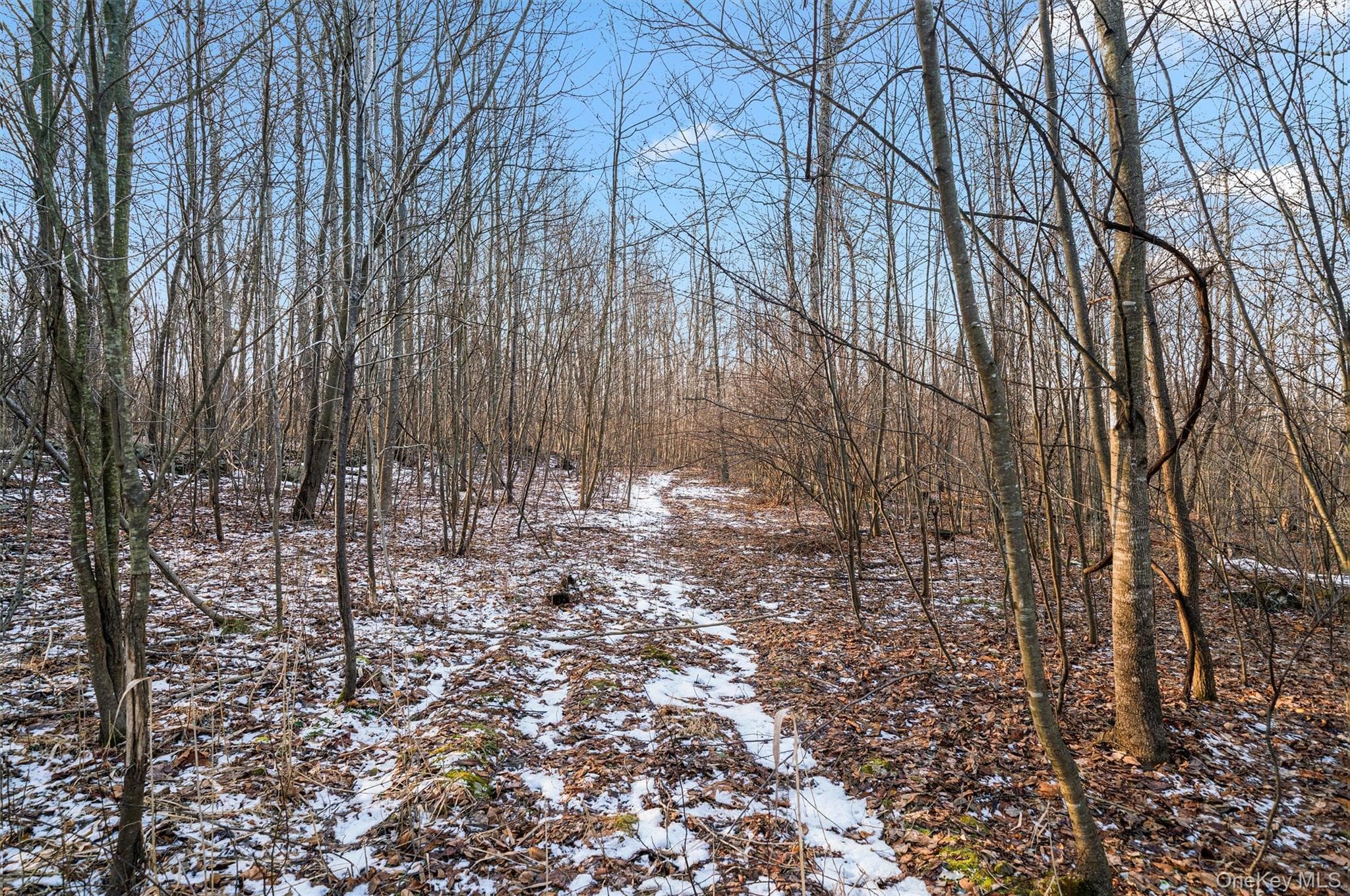 TBD Eatontown Road thumbnail 12