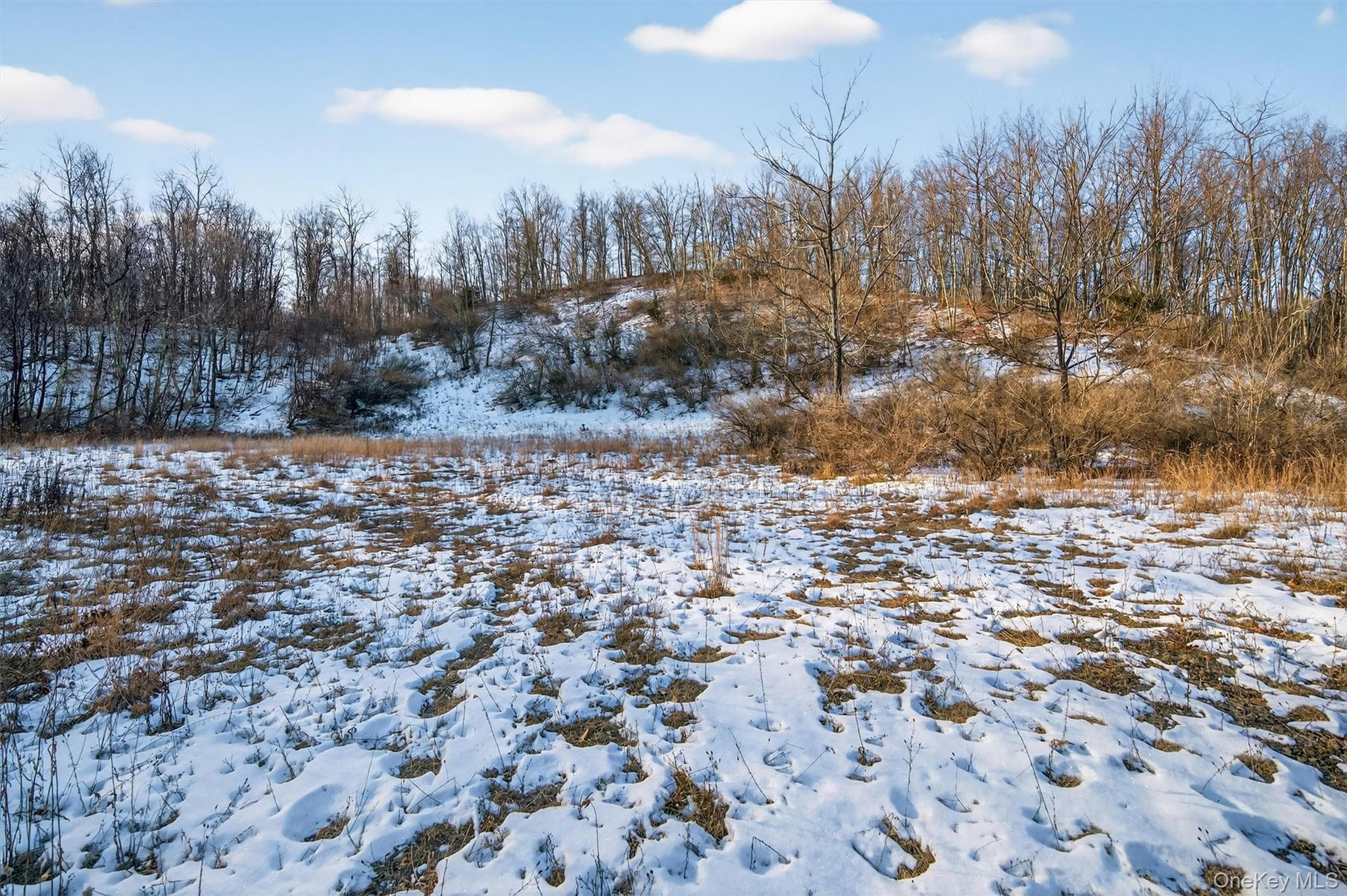 TBD Eatontown Road thumbnail 3