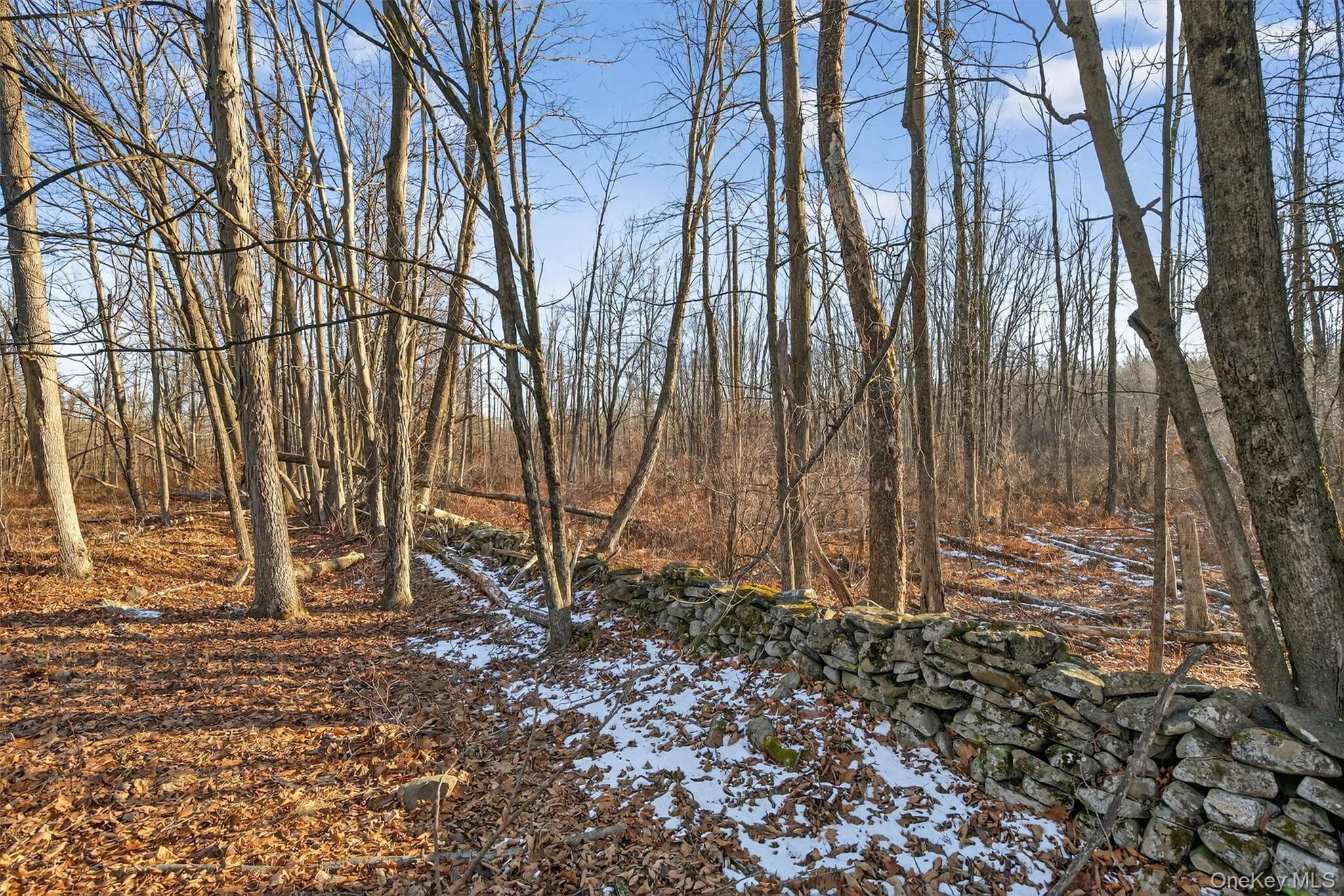 TBD Eatontown Road thumbnail 6