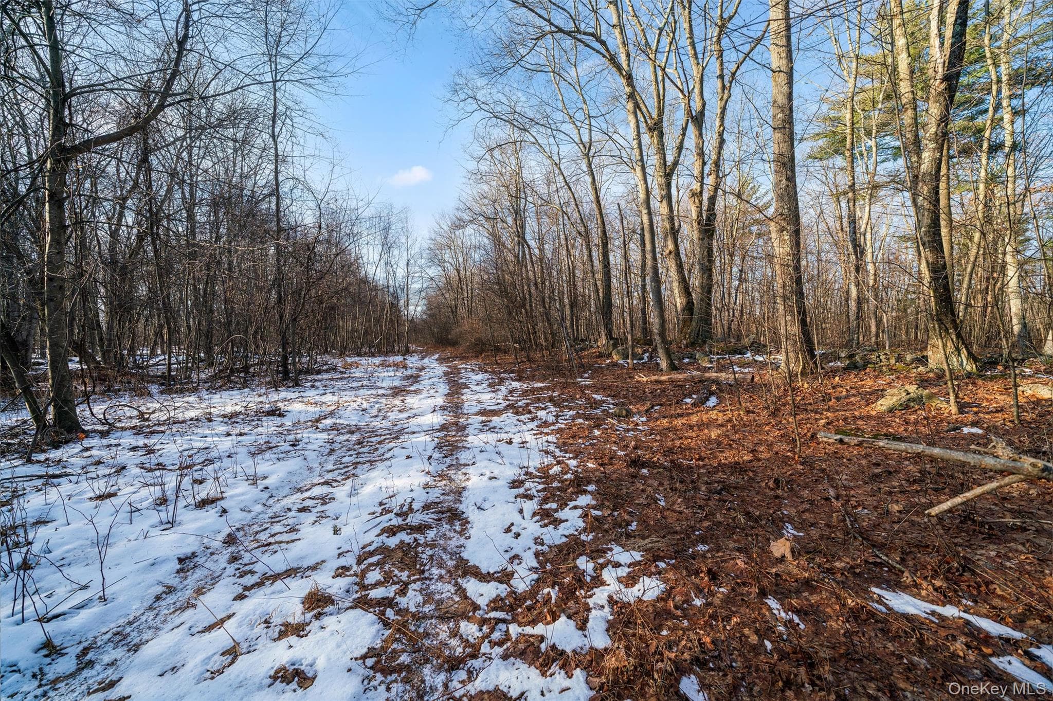 TBD Eatontown Road thumbnail 10