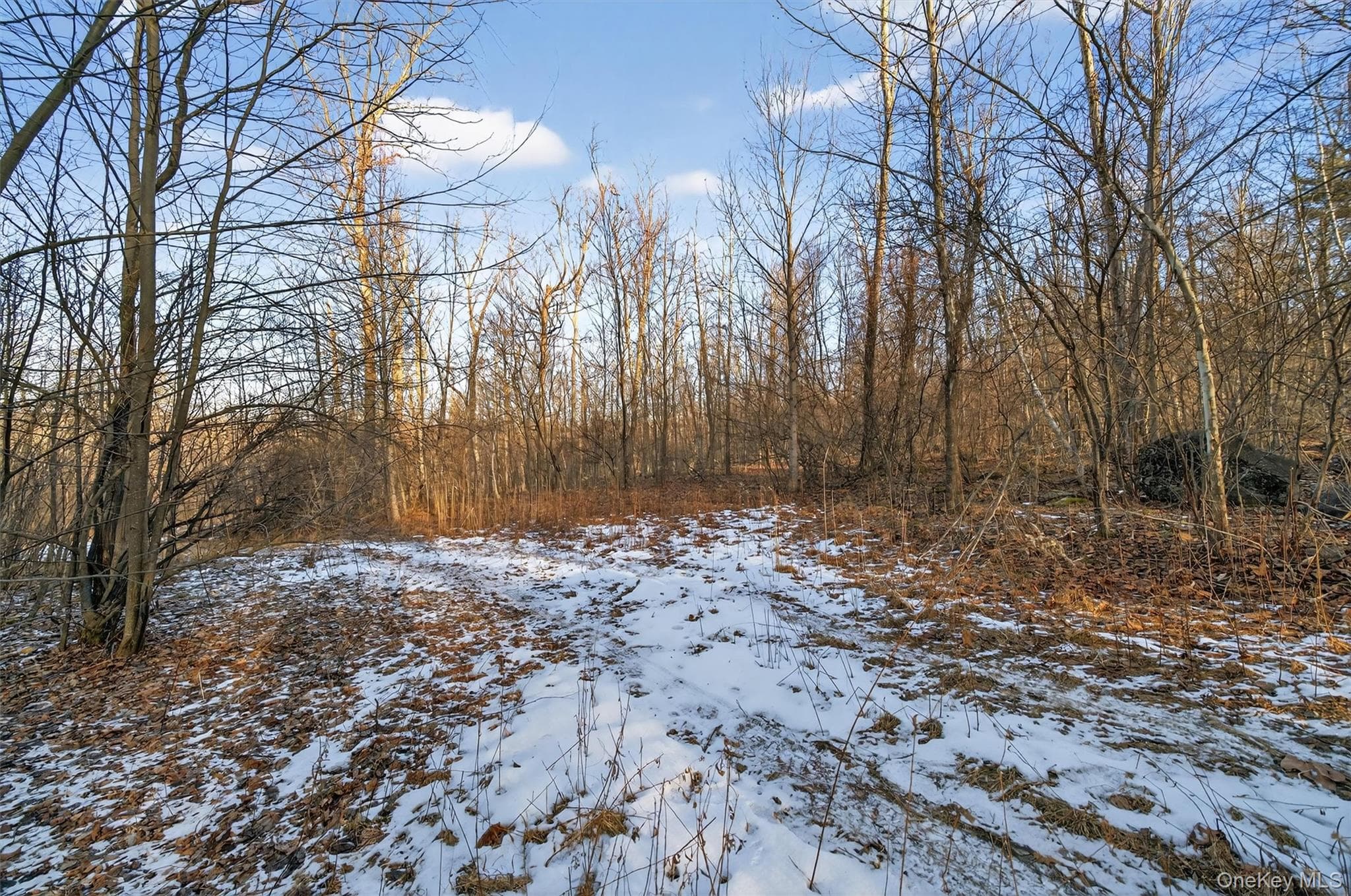 TBD Eatontown Road thumbnail 13