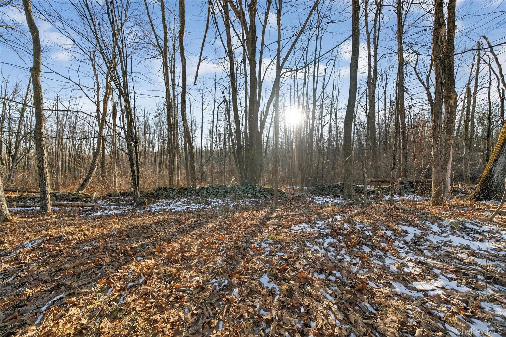 TBD Eatontown Road thumbnail 4